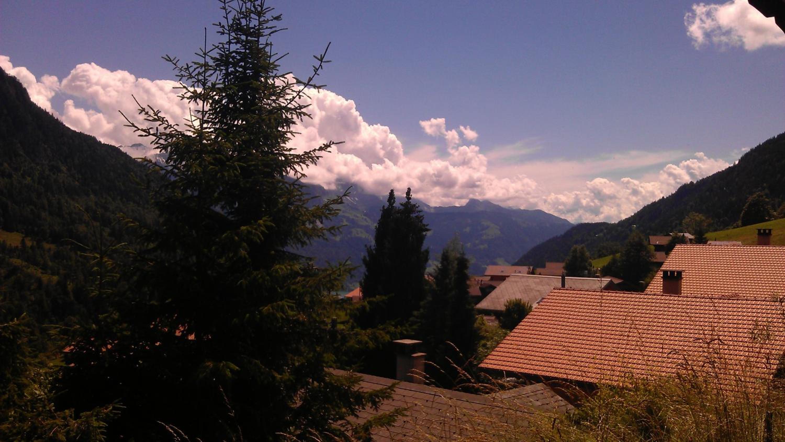 Photo 8