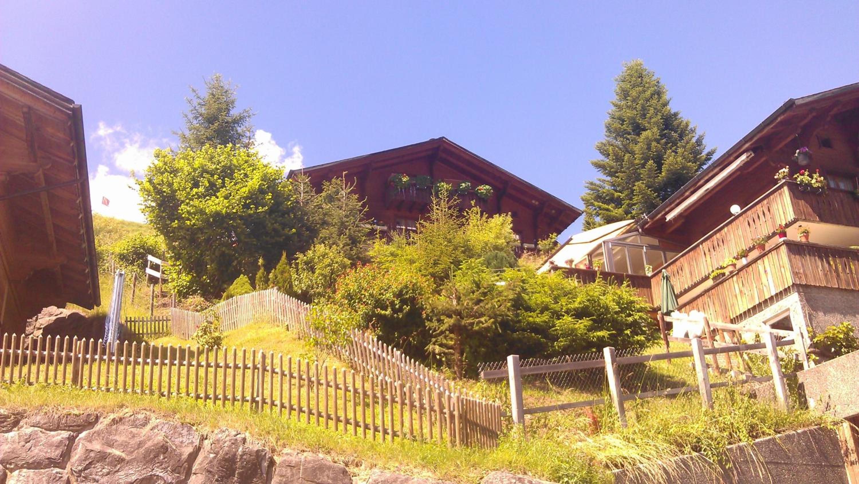 Photo 16