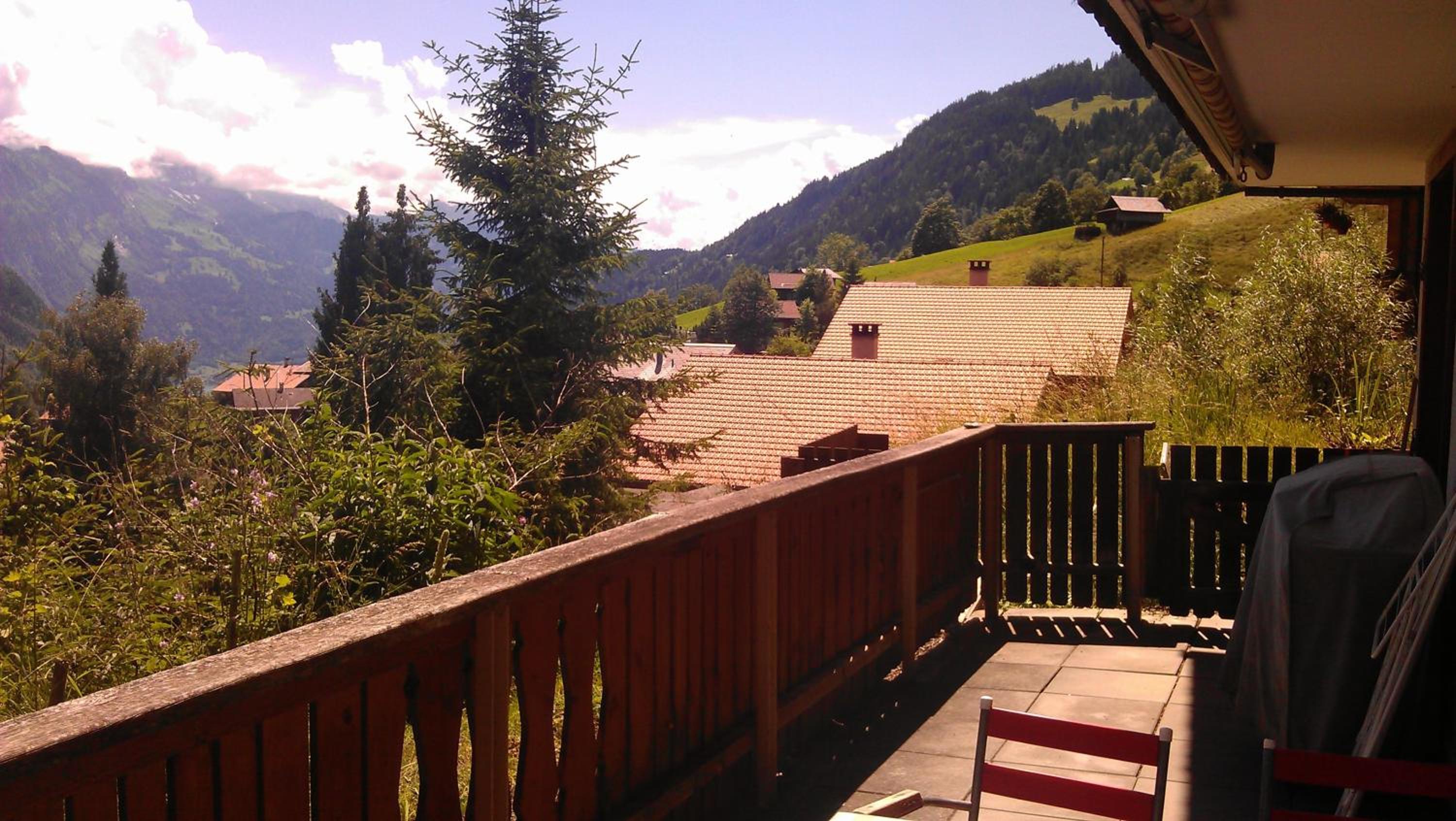 Photo 11