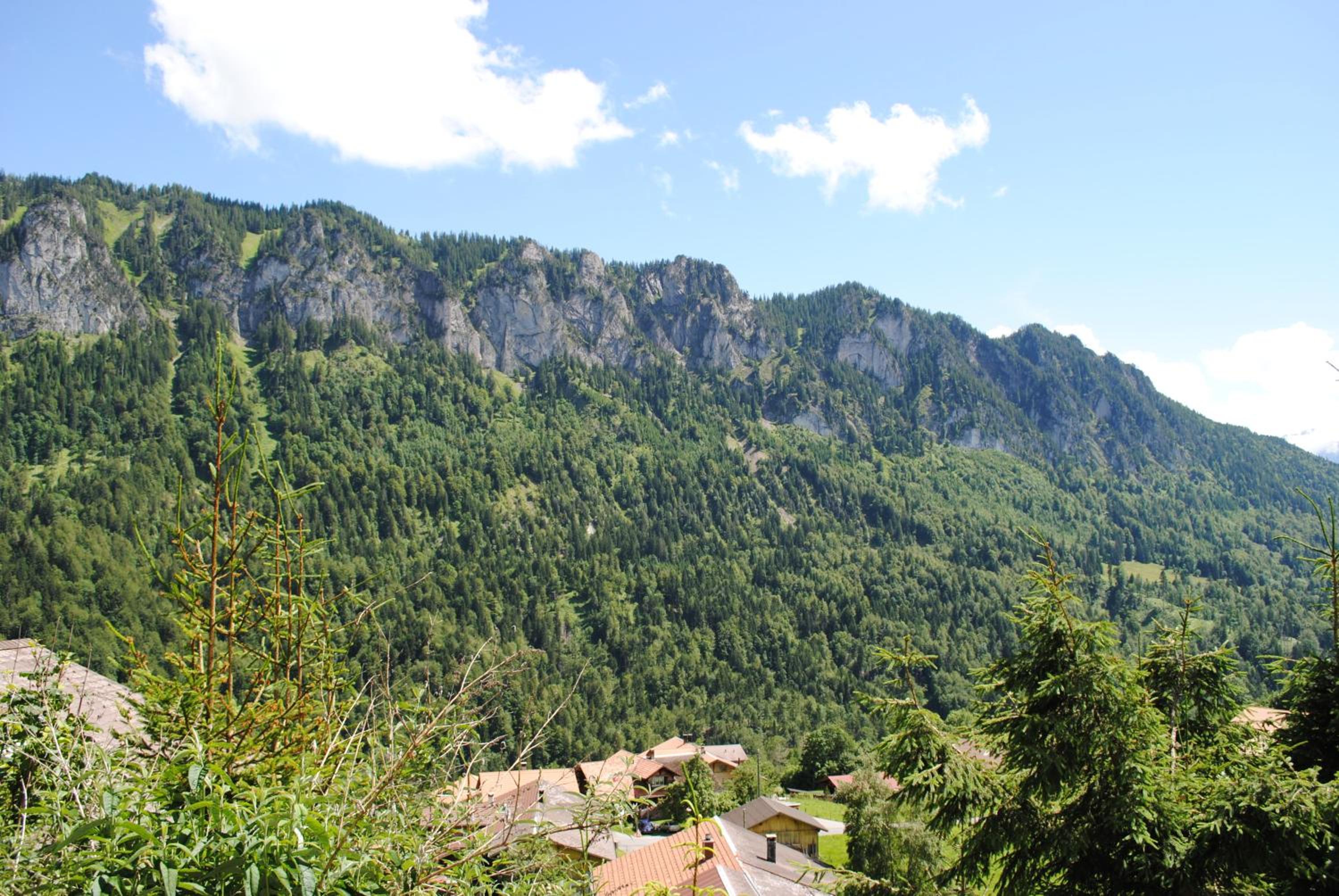 Ferienwohnung Käch view 5