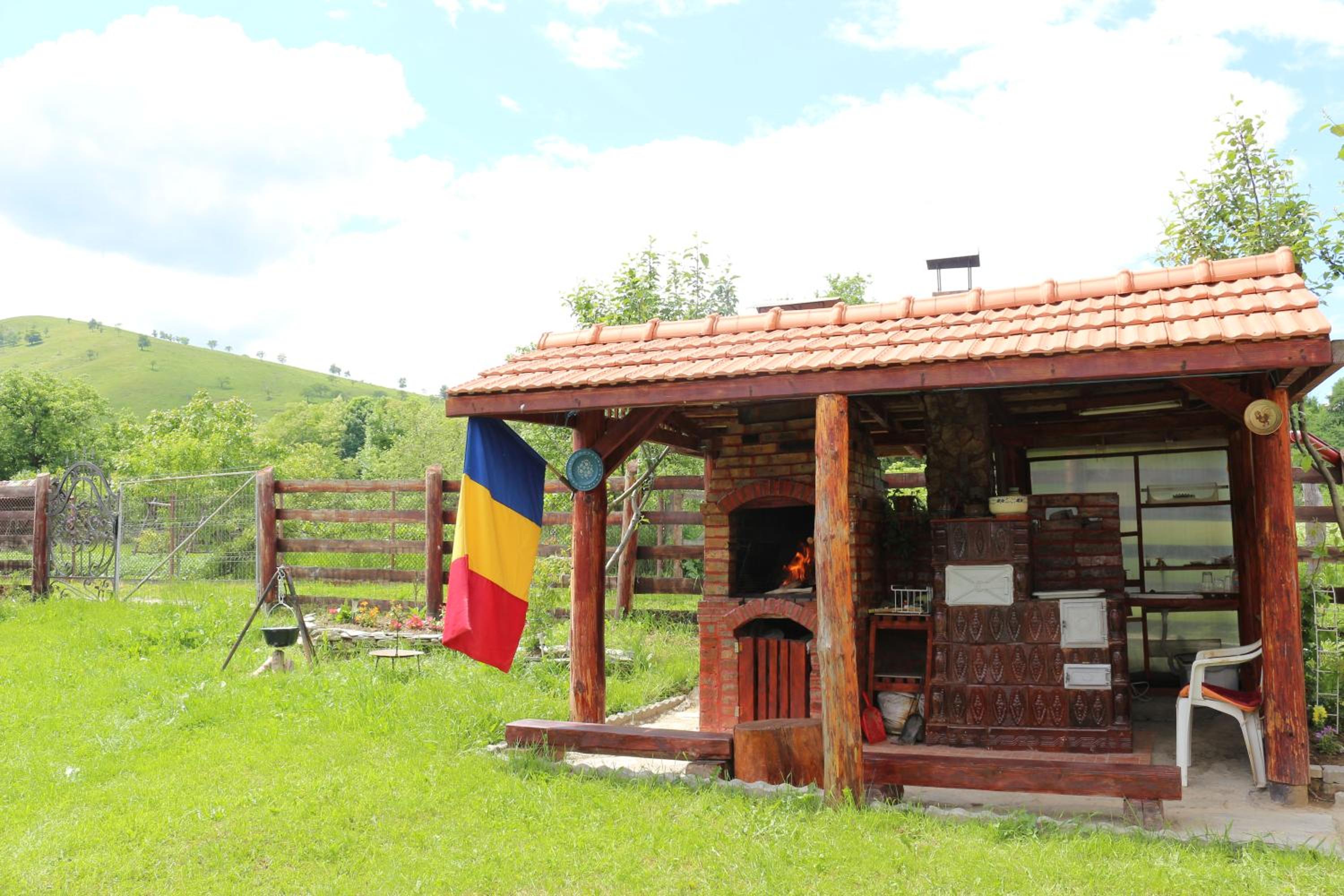 Photo 17