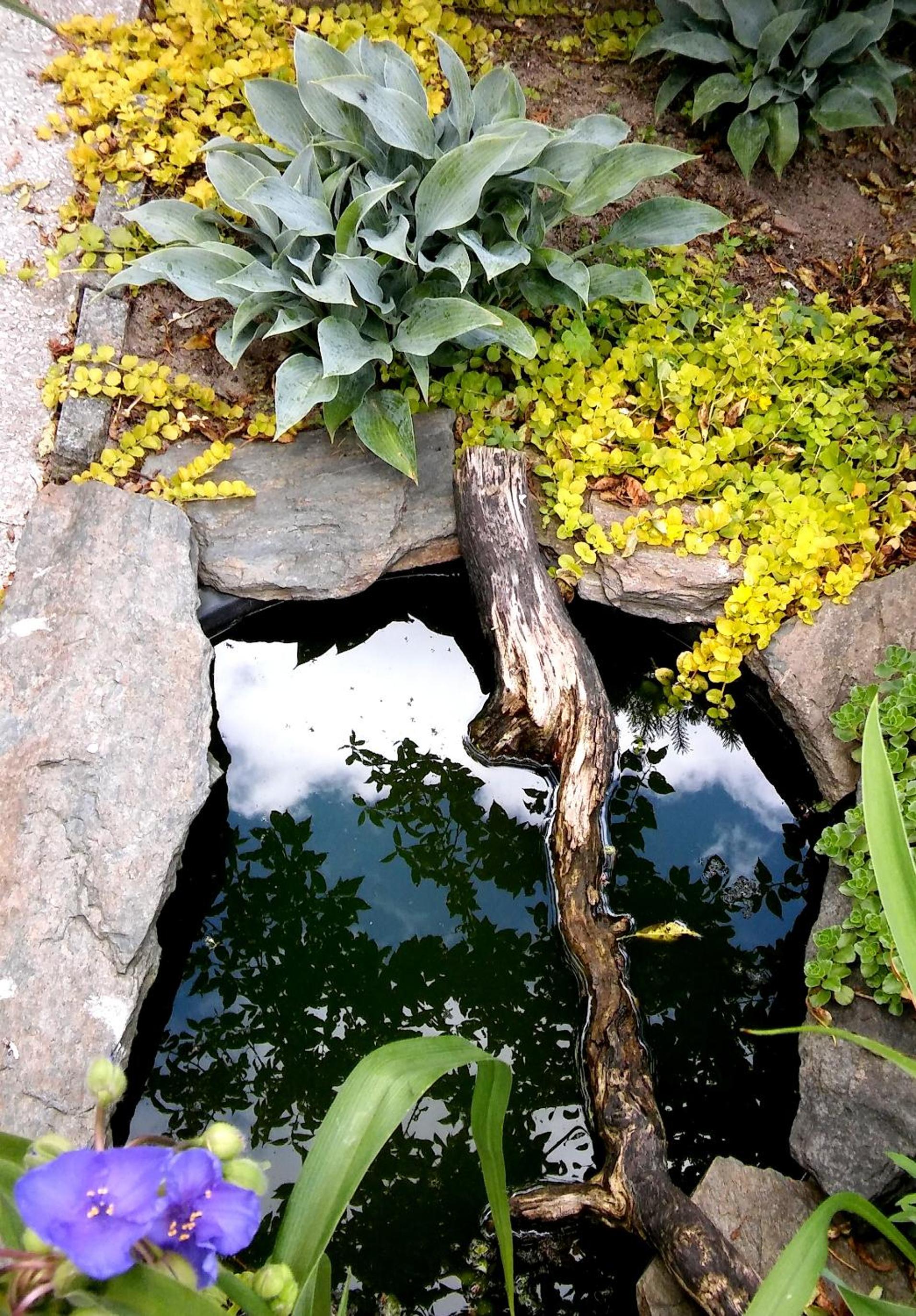 Photo 11