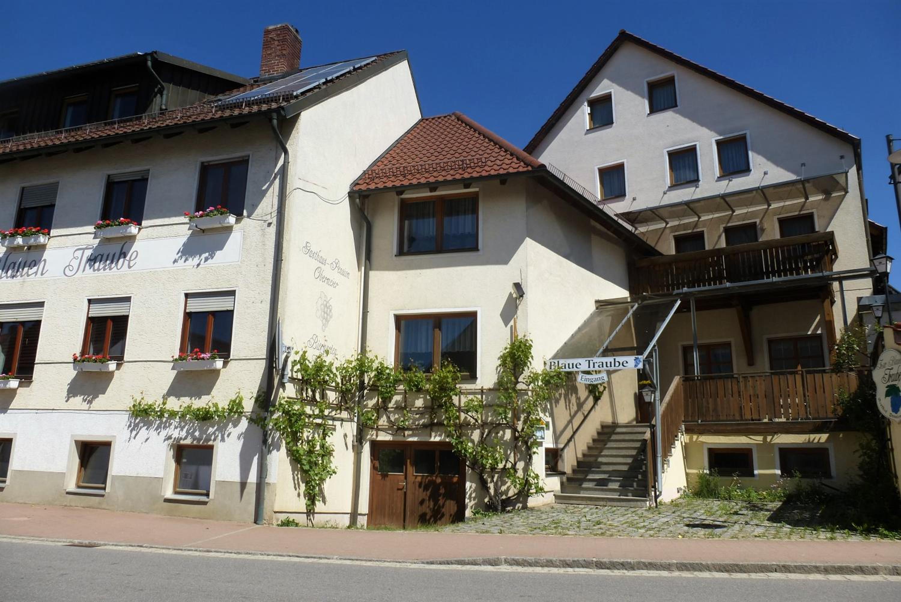 Blaue Traube view 2