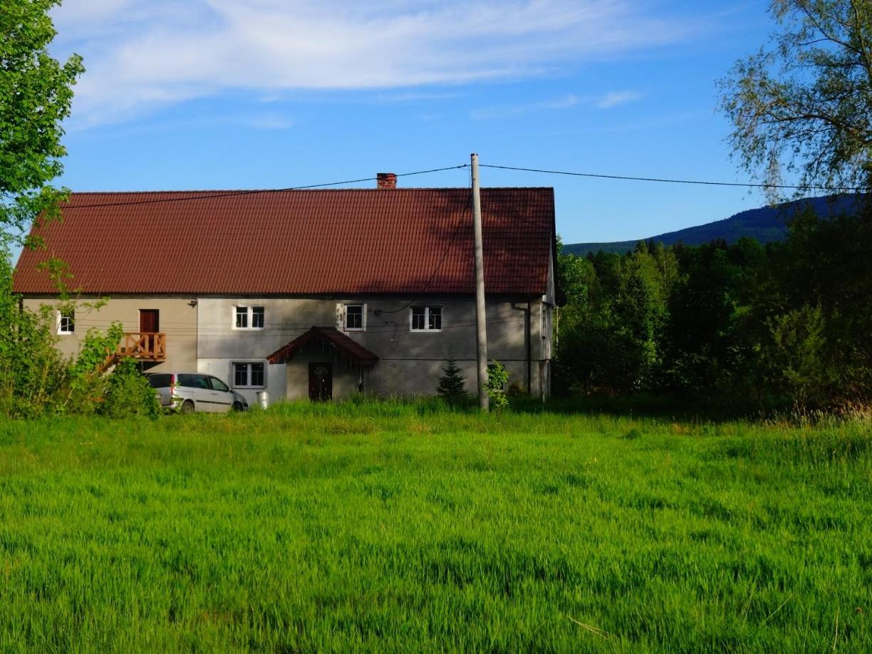 Pokoje Gościnne Przy Lesie view 4