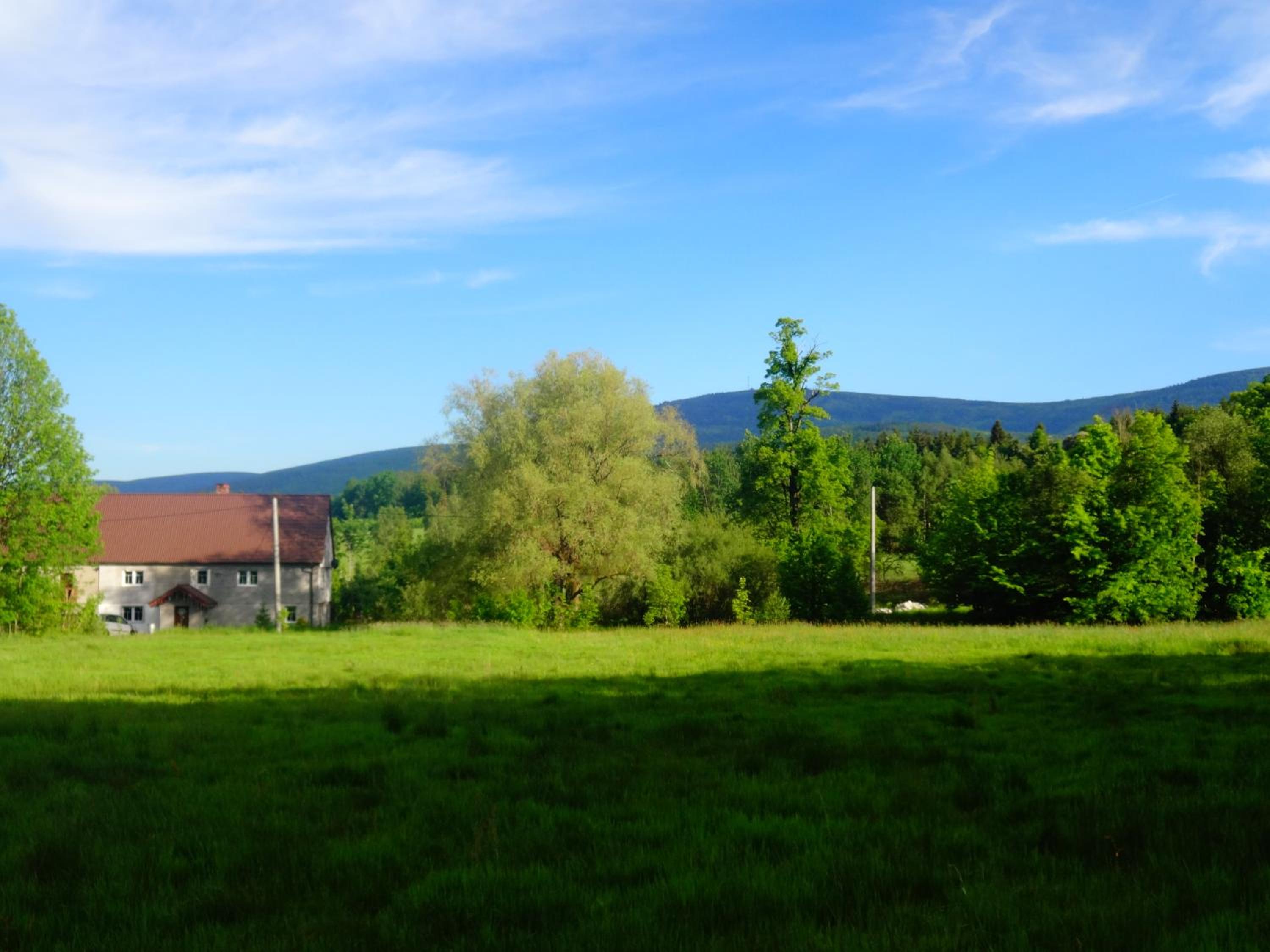 Pokoje Gościnne Przy Lesie view 3