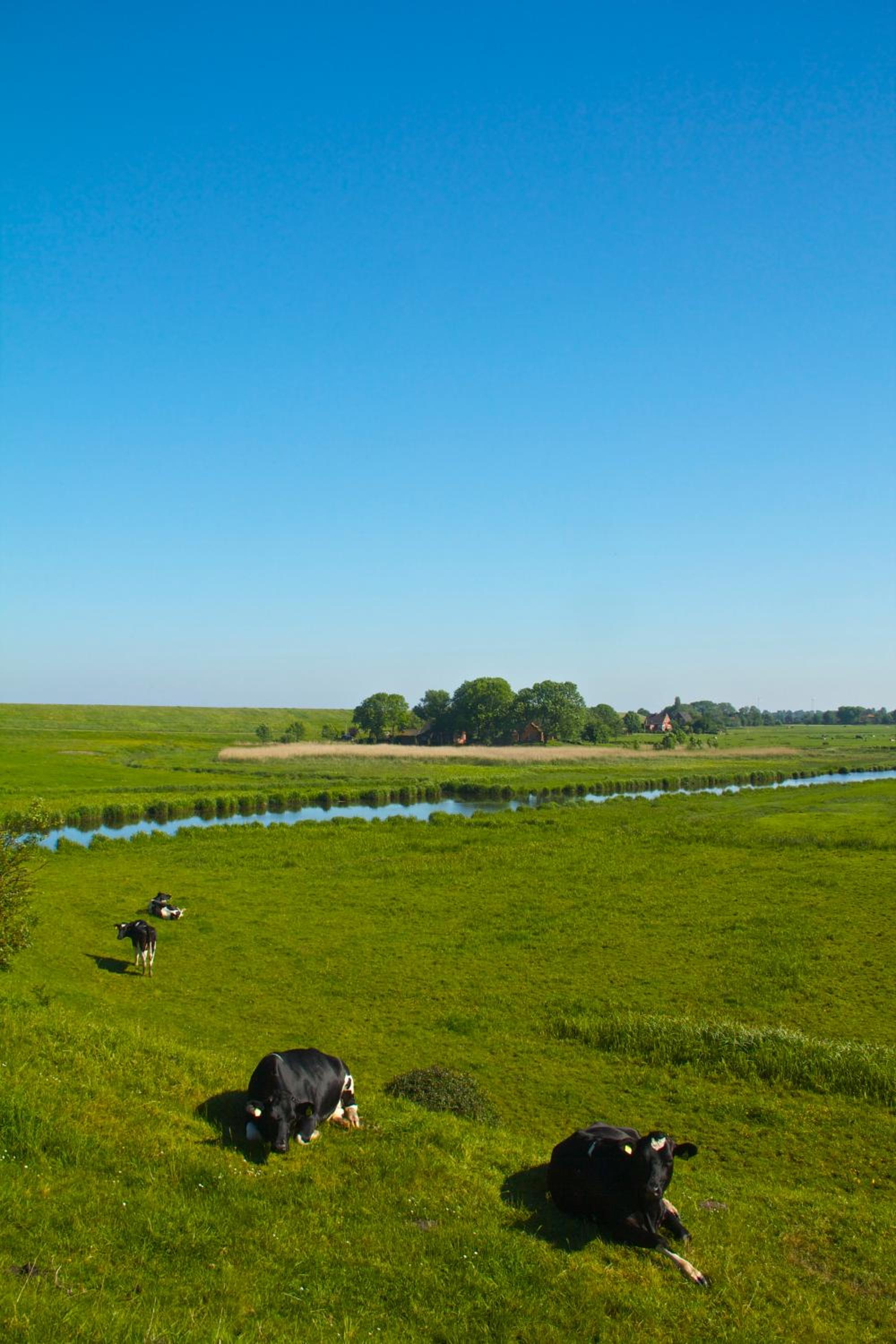 Haus Horizont