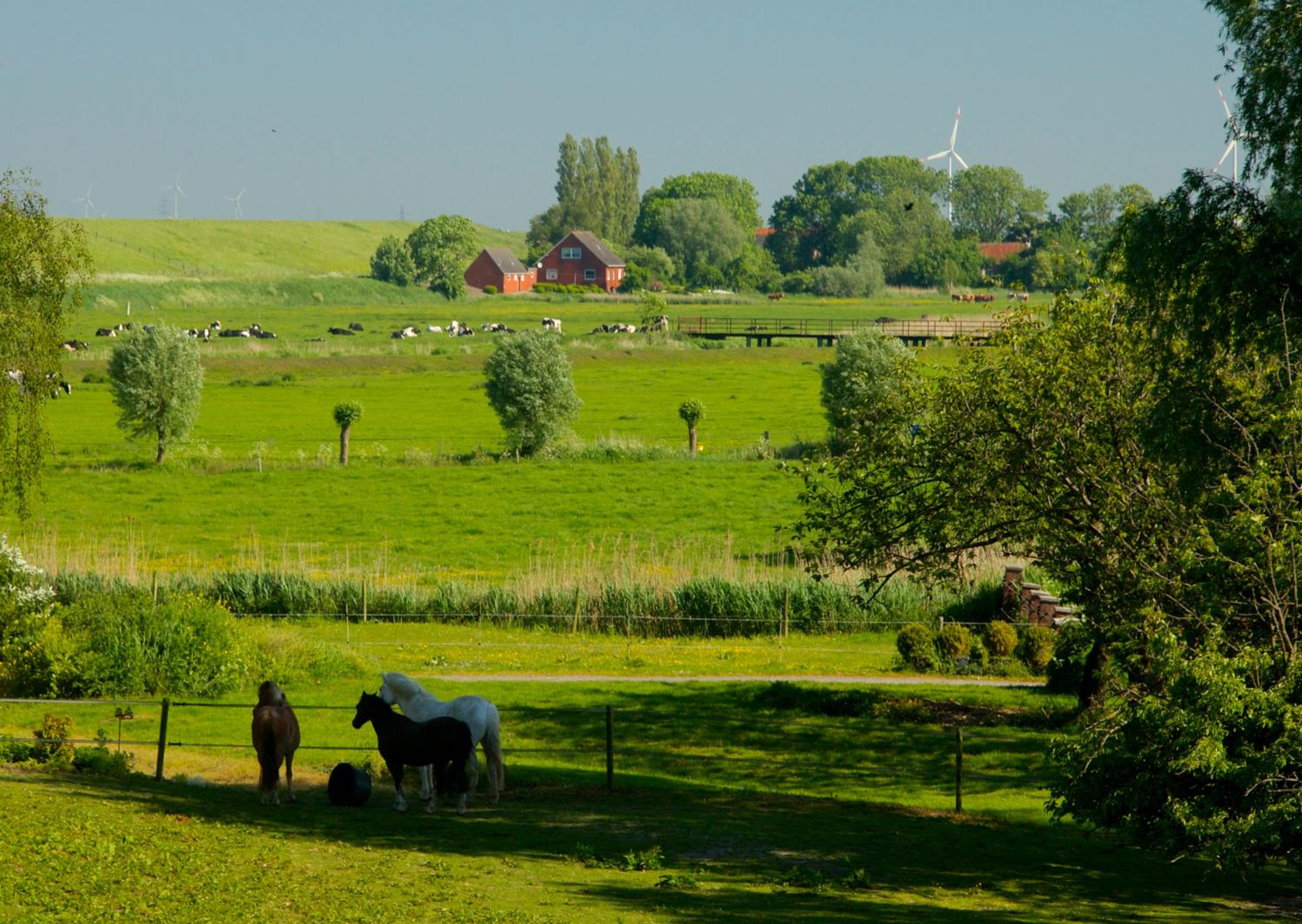 Haus Horizont