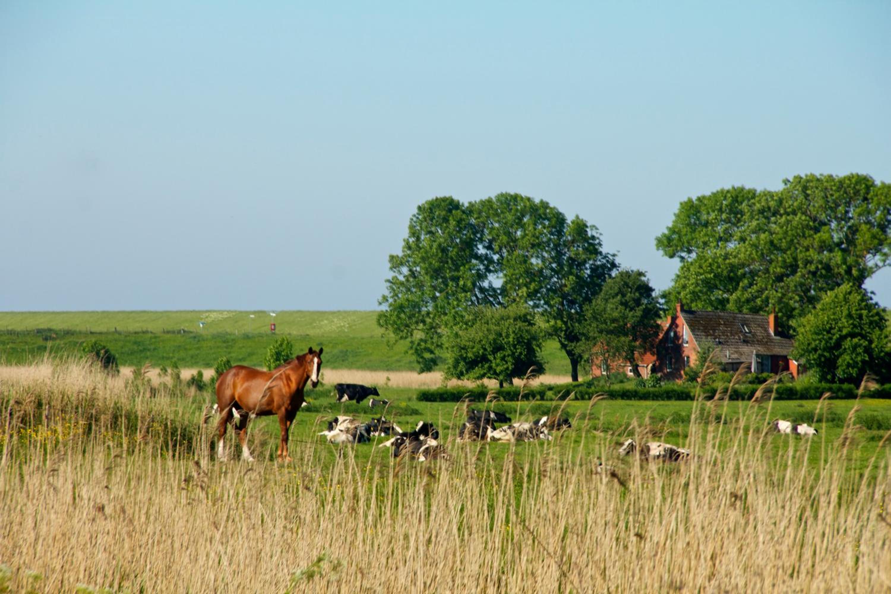 Haus Horizont