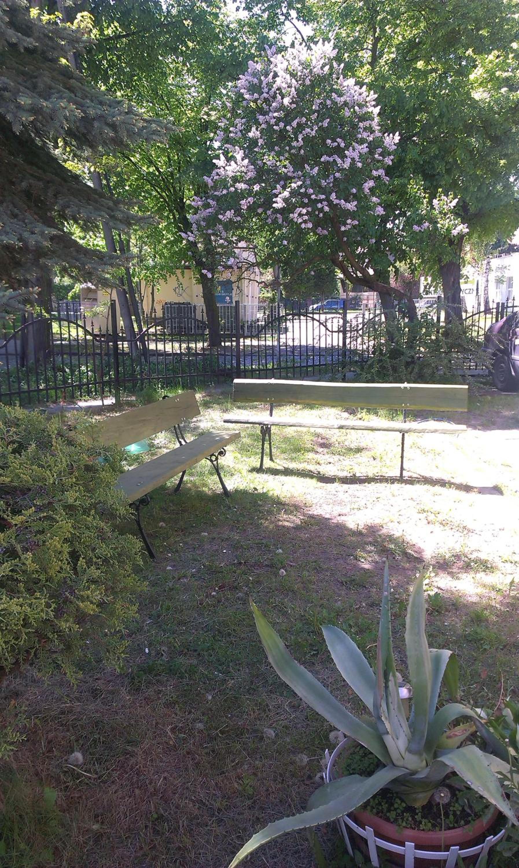 Photo 14