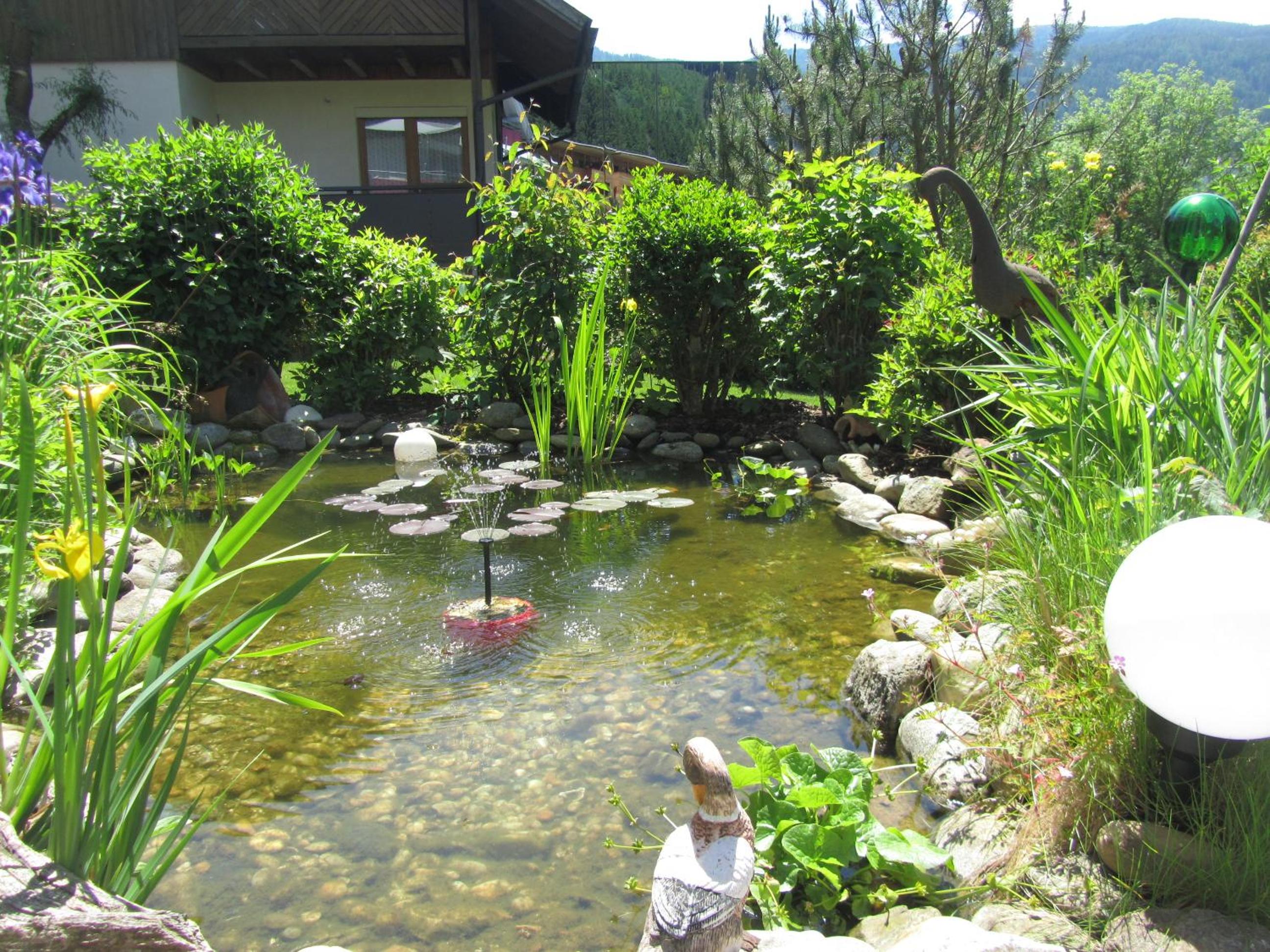 Photo 10