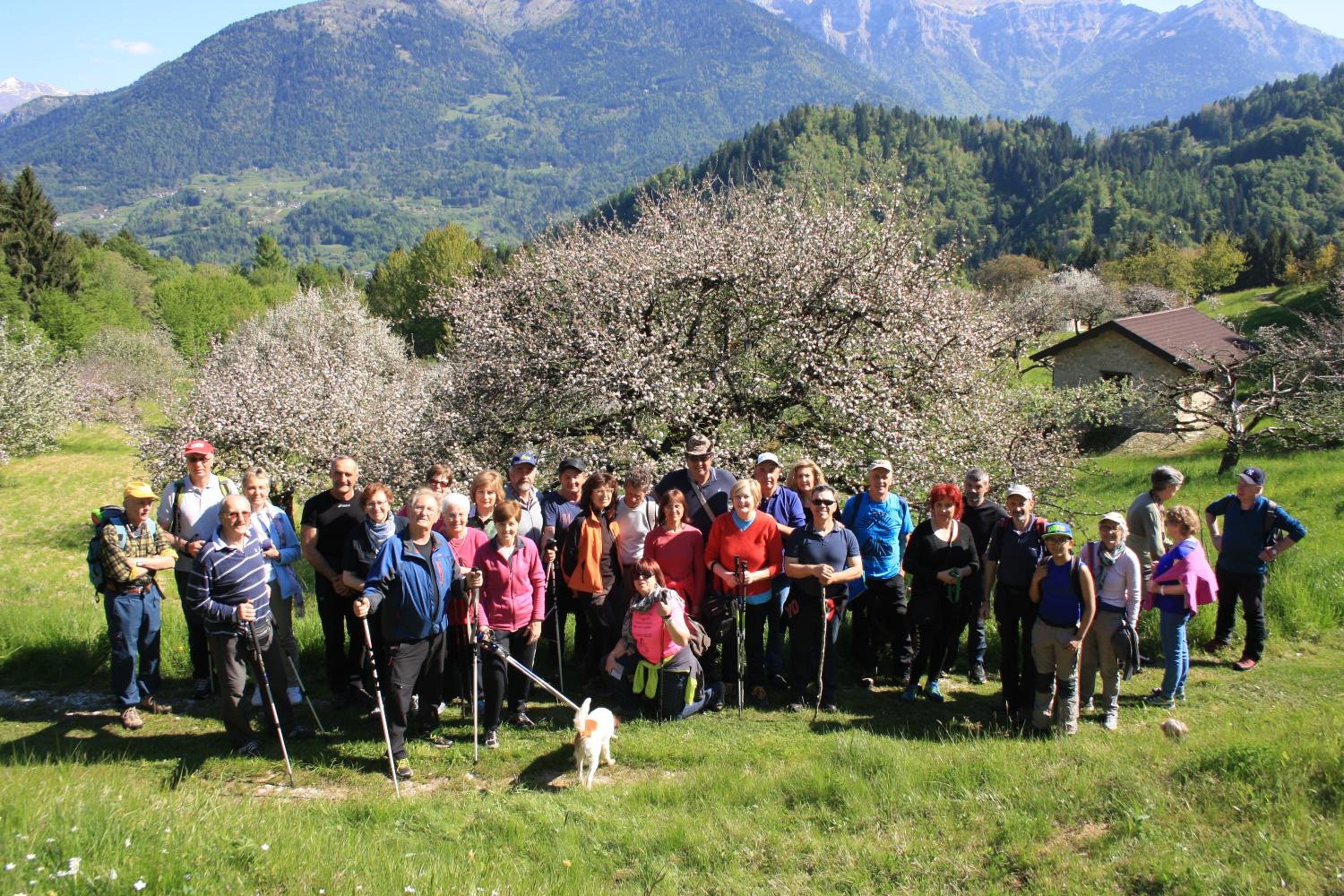 Albergo Diffuso Faller