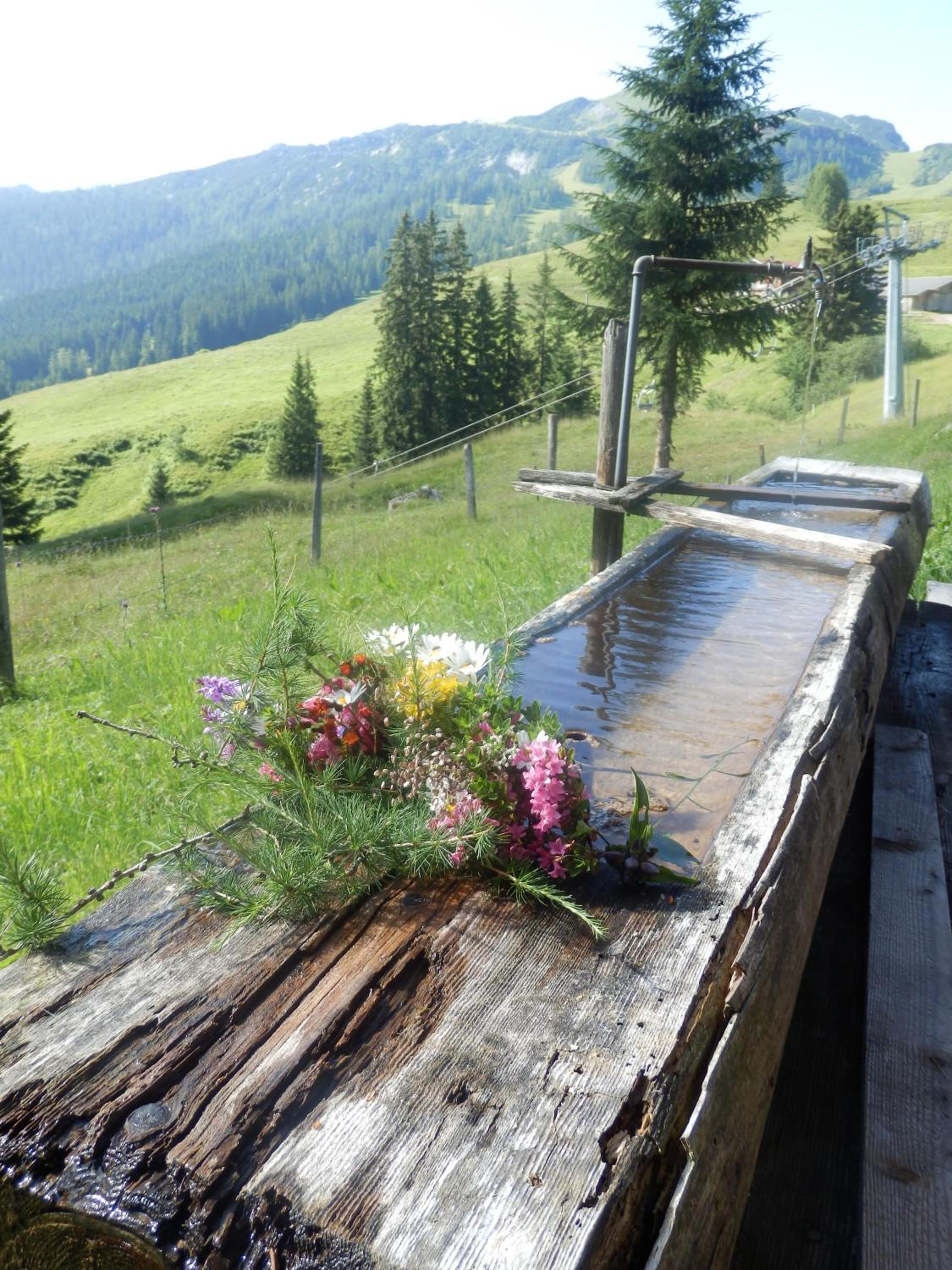 Apartments Saalachtal