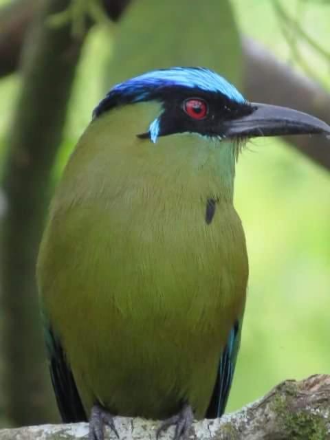 Finca de Mundo