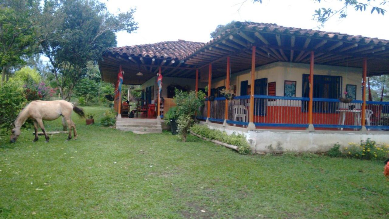 Finca de Mundo