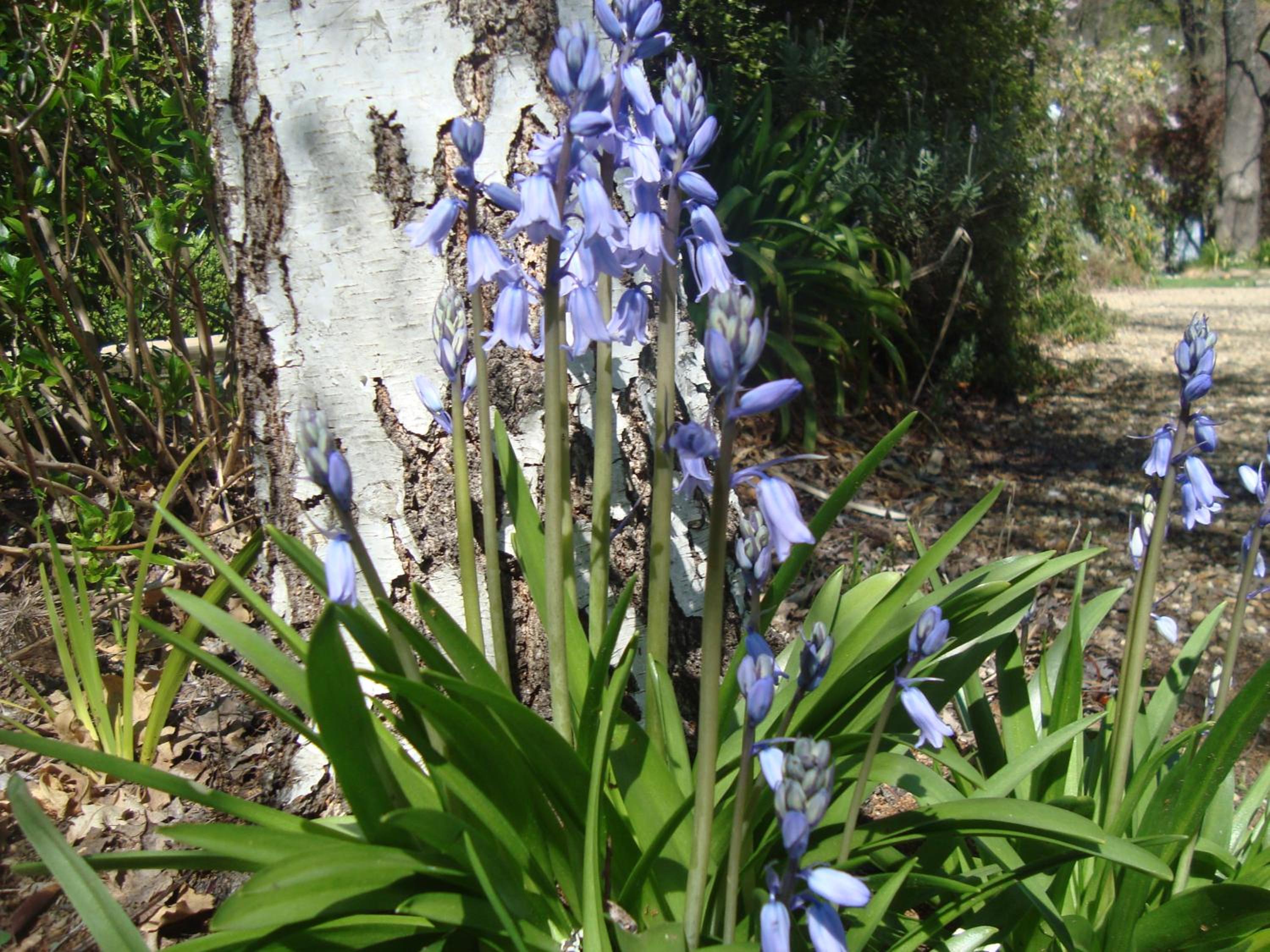 Elm Lodge Bright