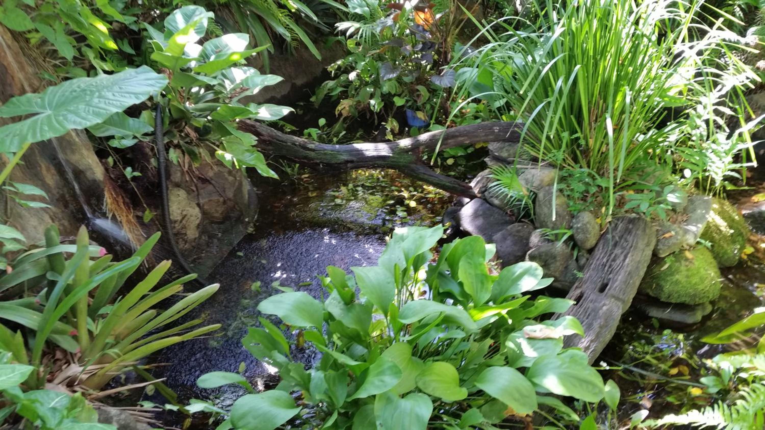 Photo 43