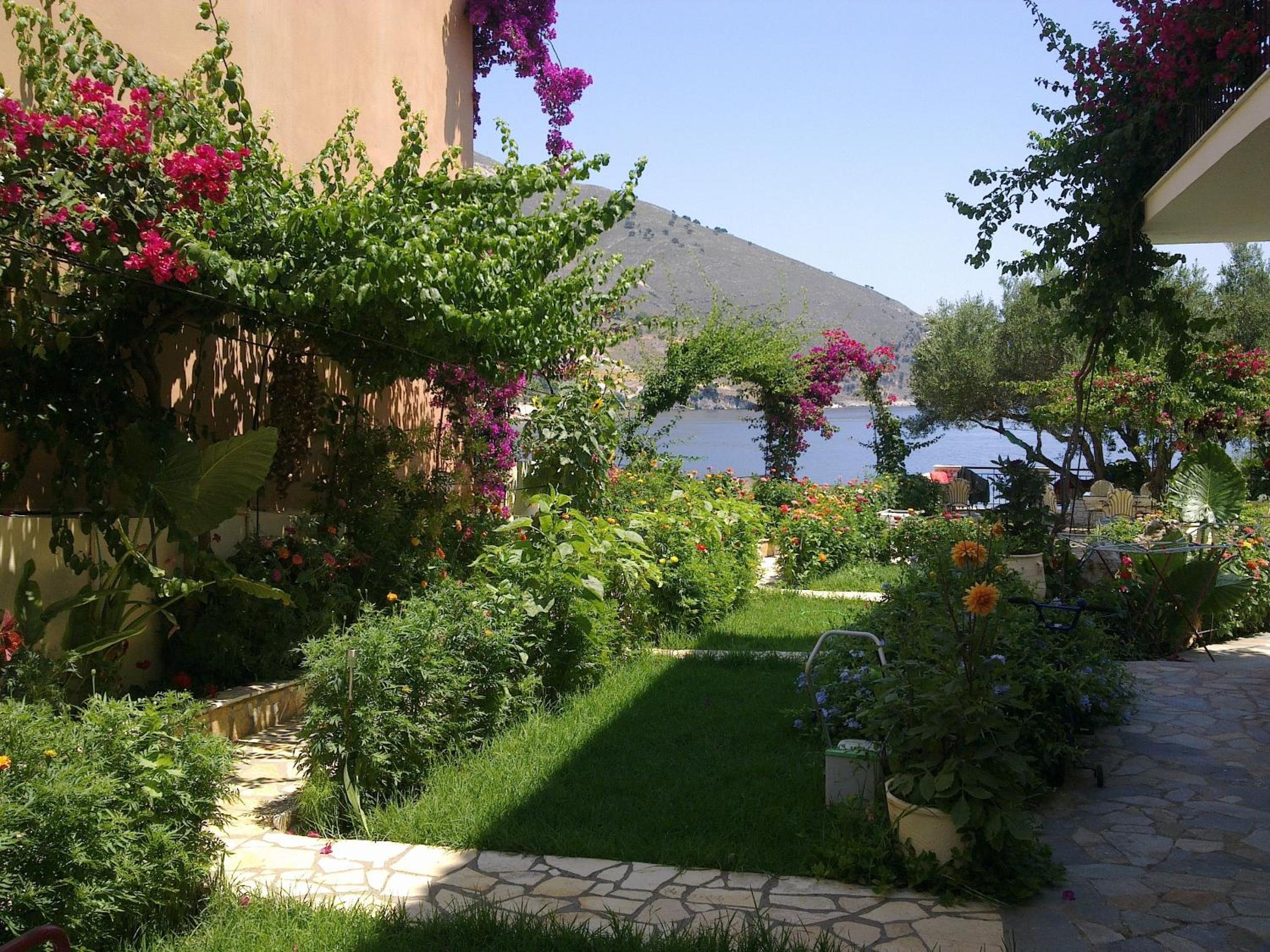 Photo 14
