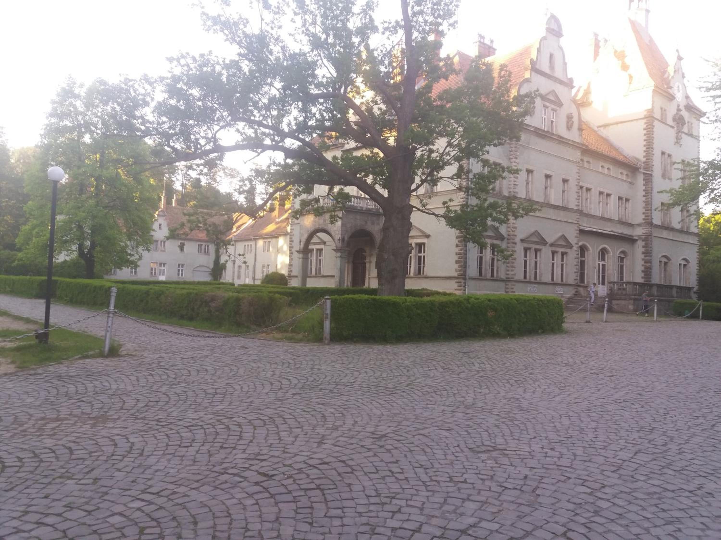 Photo 30