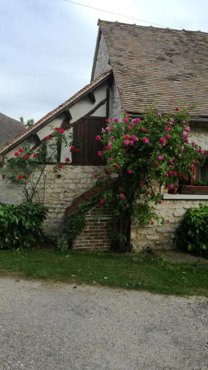 Photo 22