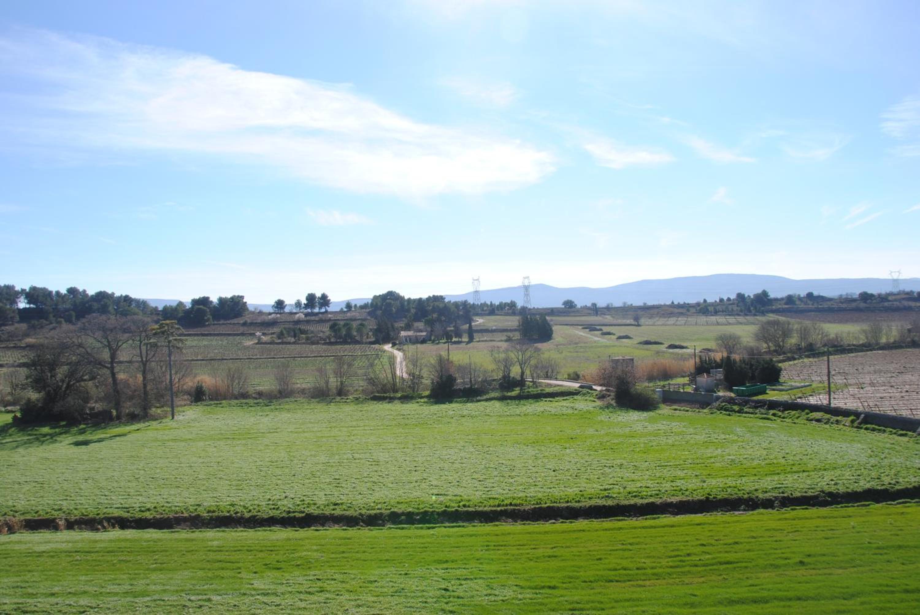 La Belle Minervoise