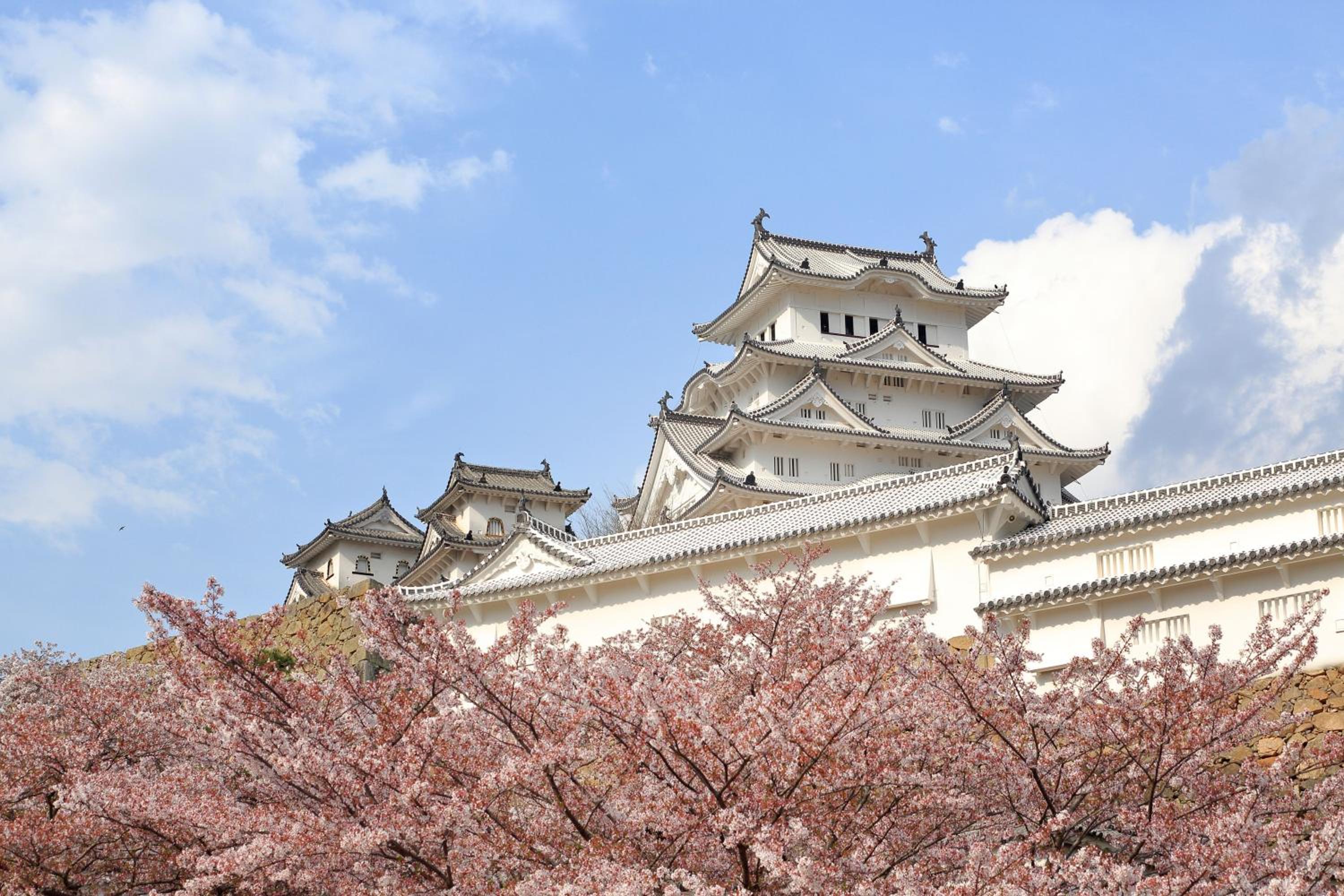 Himeji Vacations - Hotel Monterey Himeji - Property Image 4
