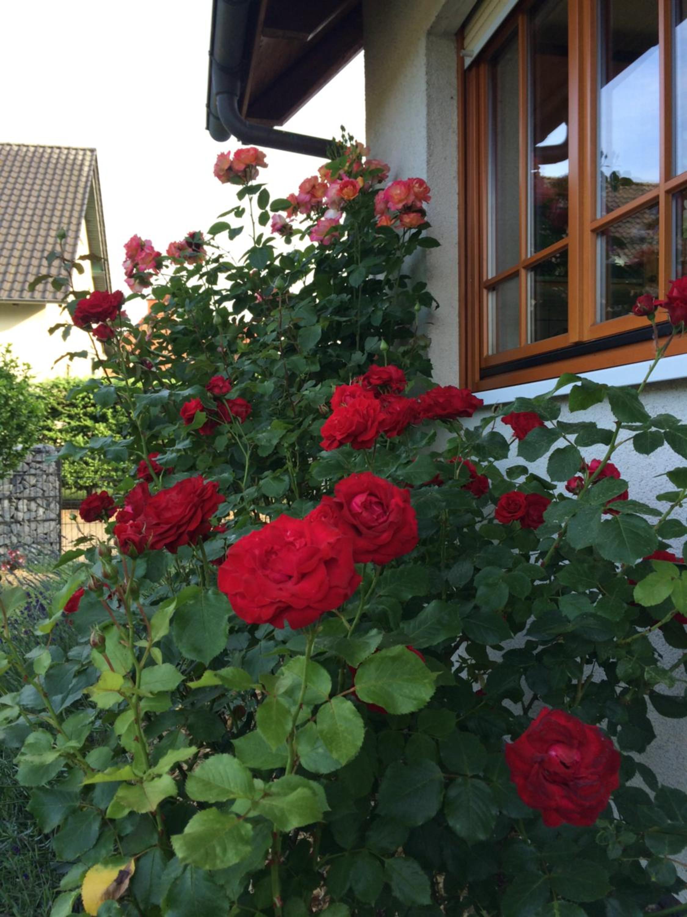 Ferienwohnung Störblick Schwerin view 2