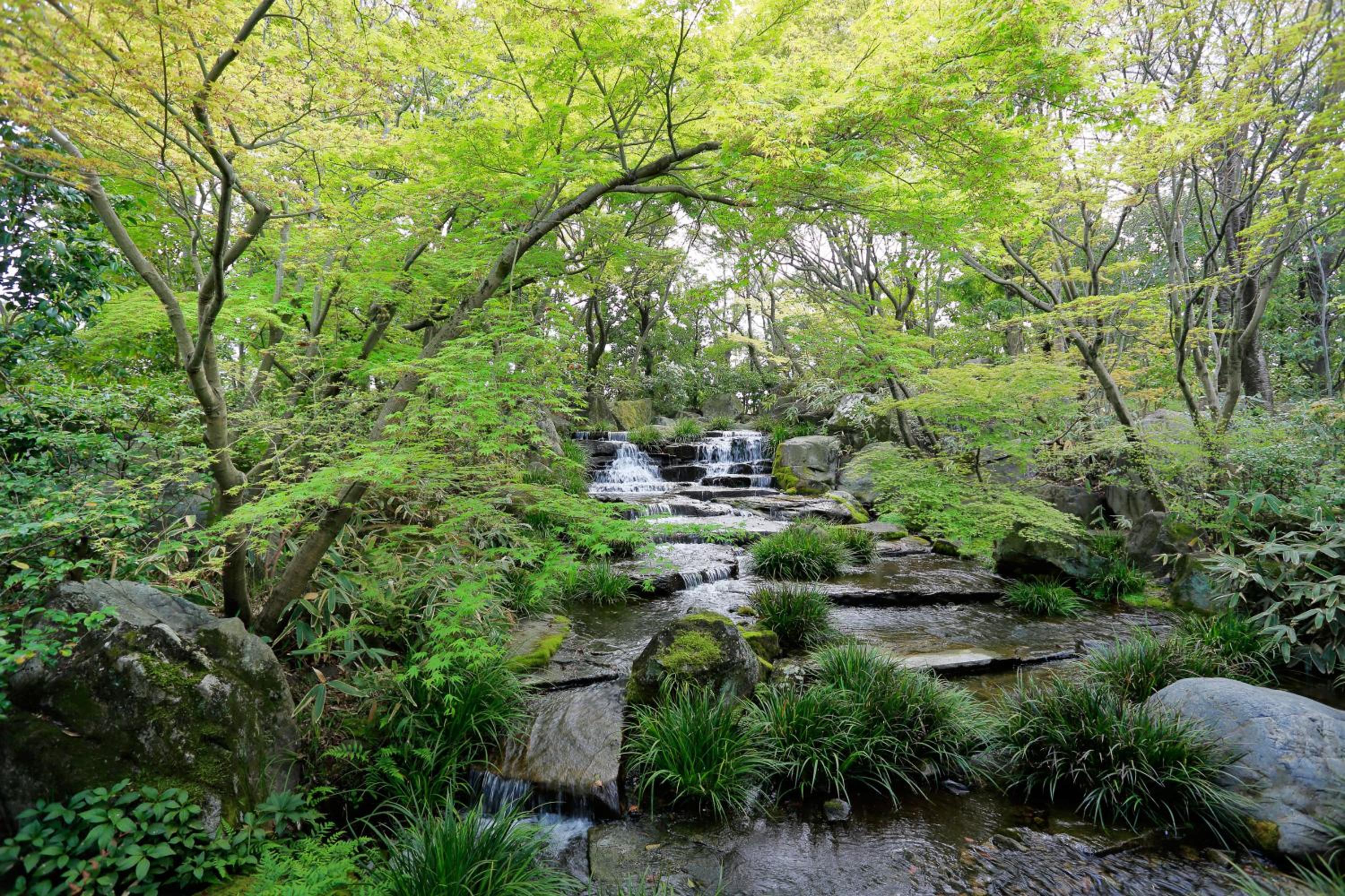 Himeji Vacations - Hotel Monterey Himeji - Property Image 43