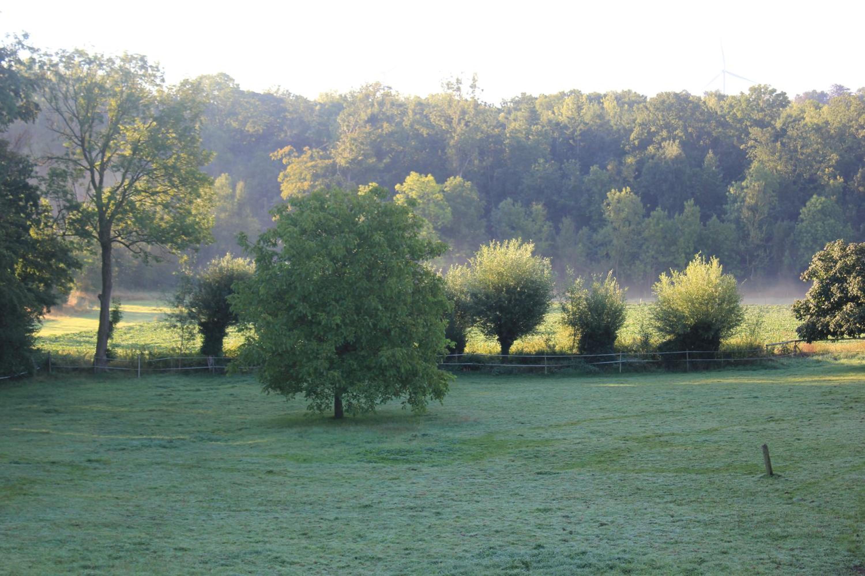 La Passiflore B&B