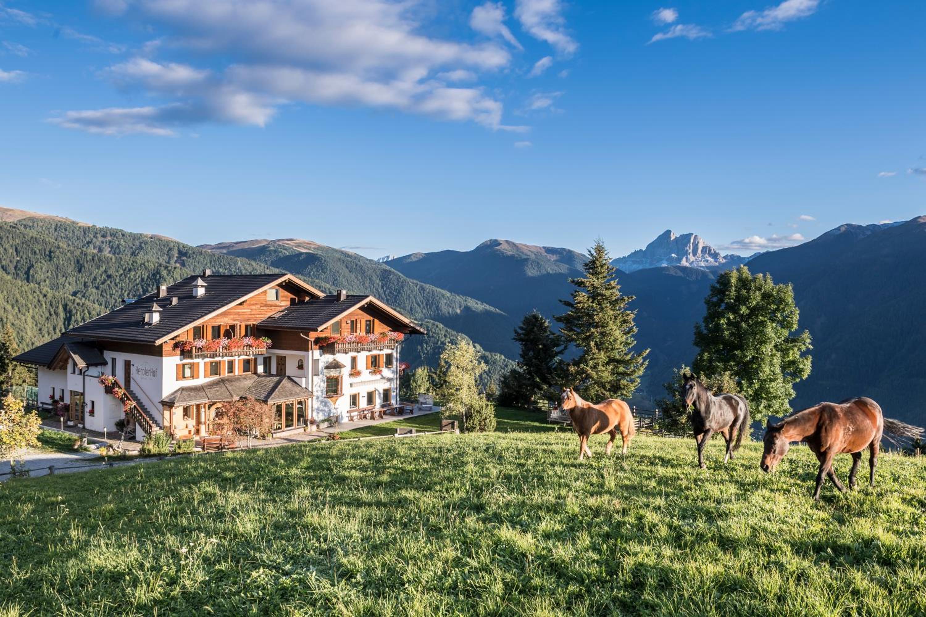 Hotel Herol - my mountain retreat - Image 1