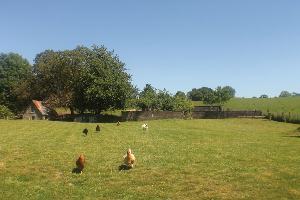 Photo 11