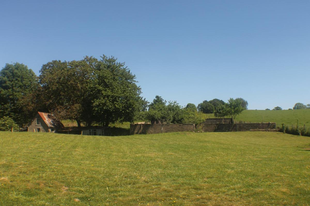 Photo 12