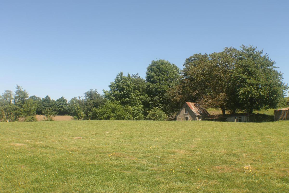 Photo 13