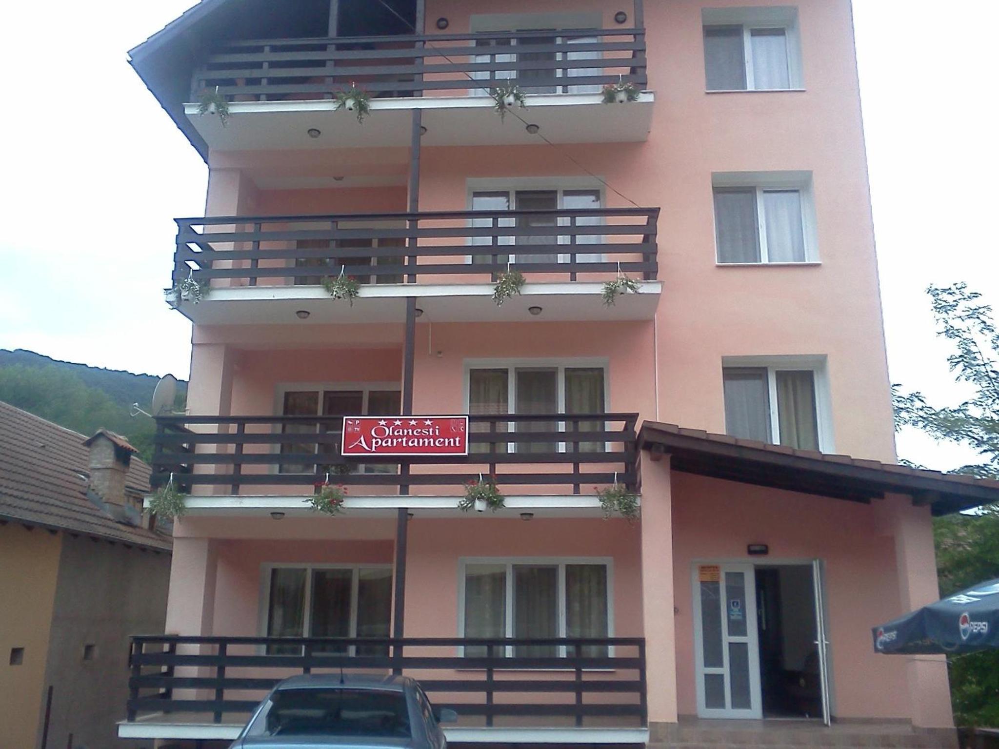 Olanesti Apartament view 2
