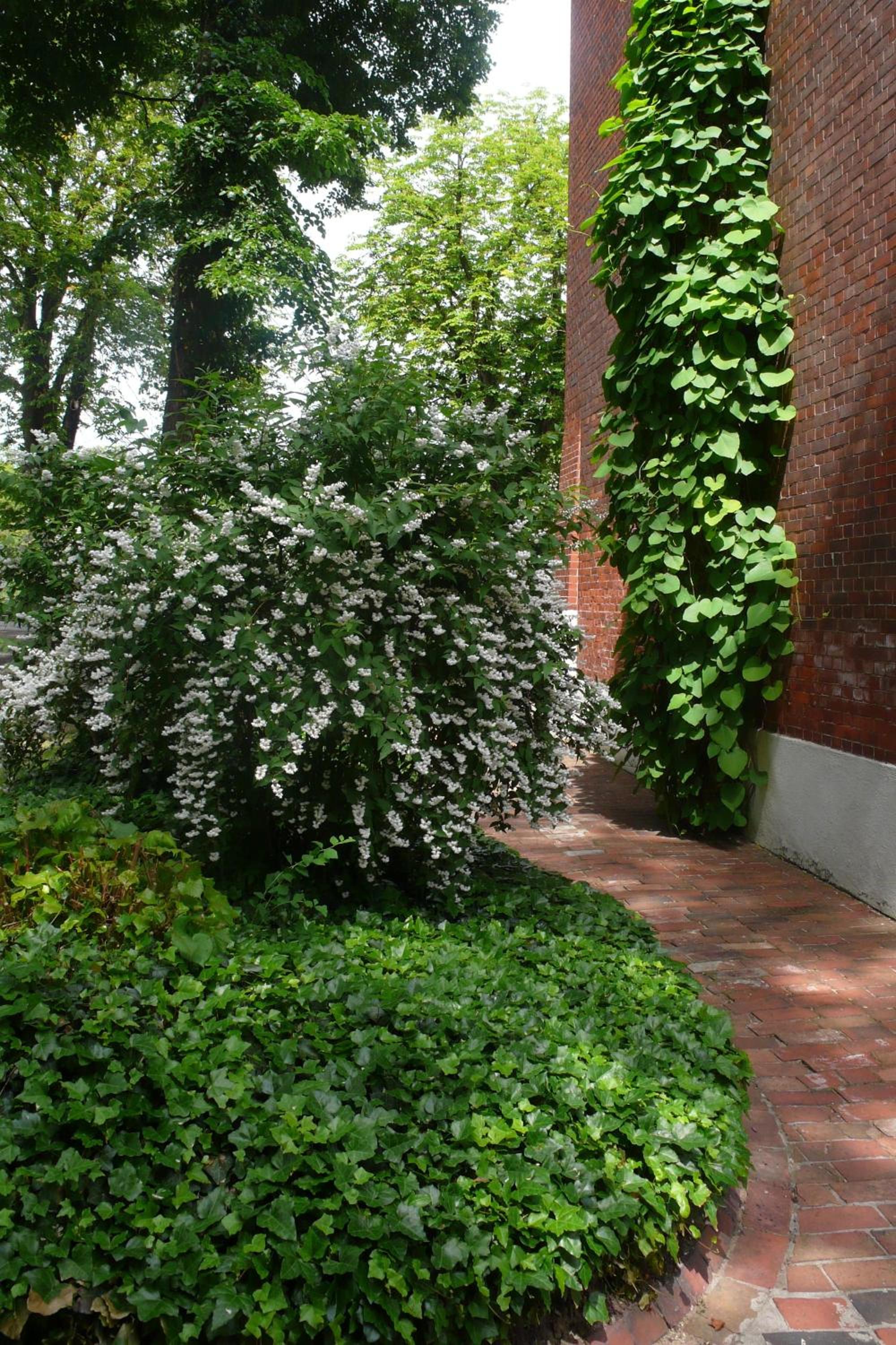Photo 50