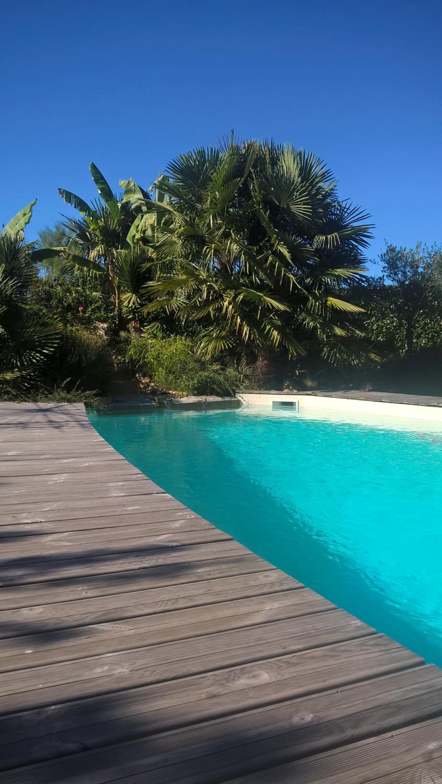 Cote jardin view 5
