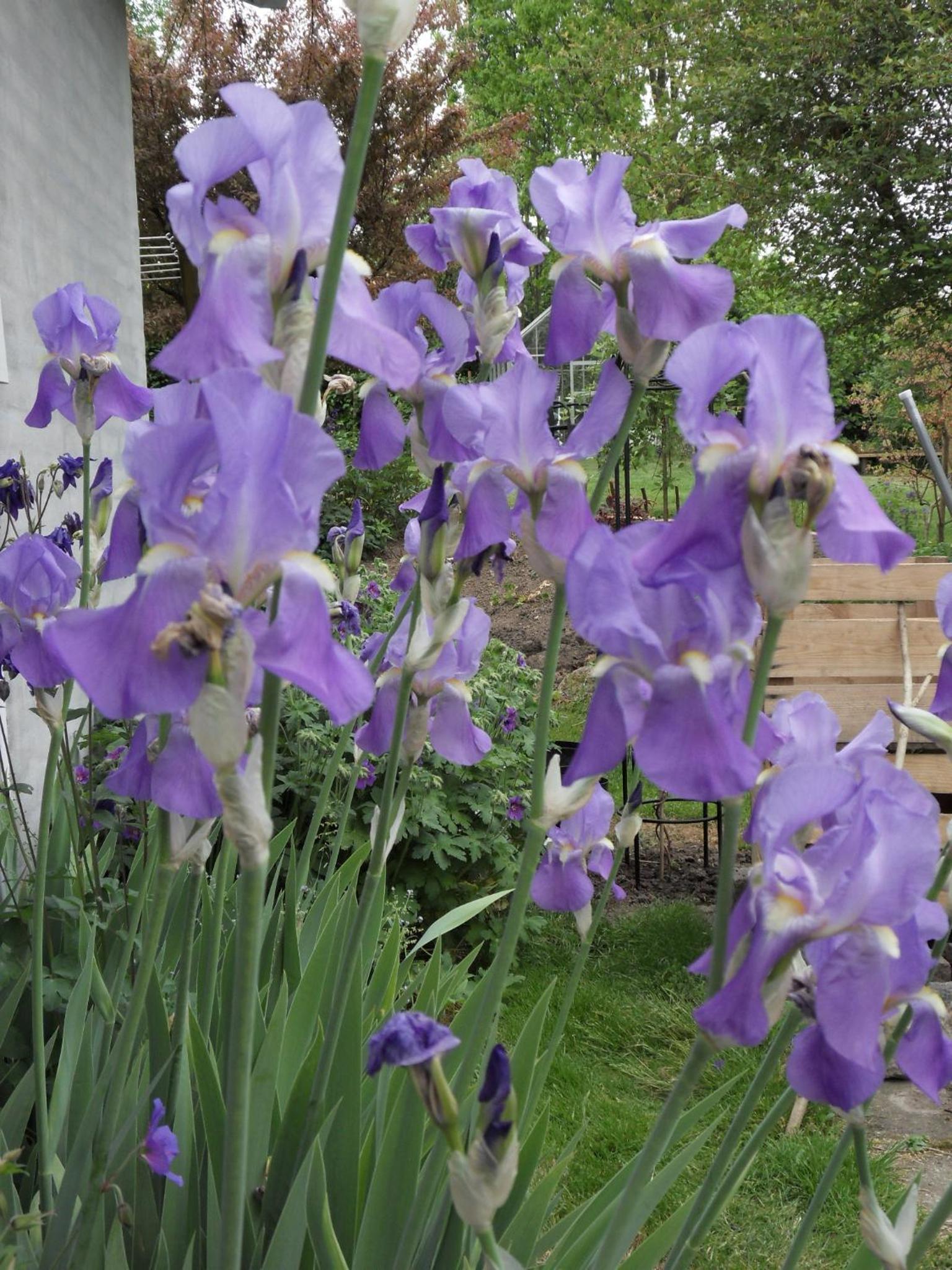 Bed and Breakfast Birkerod, photo 10