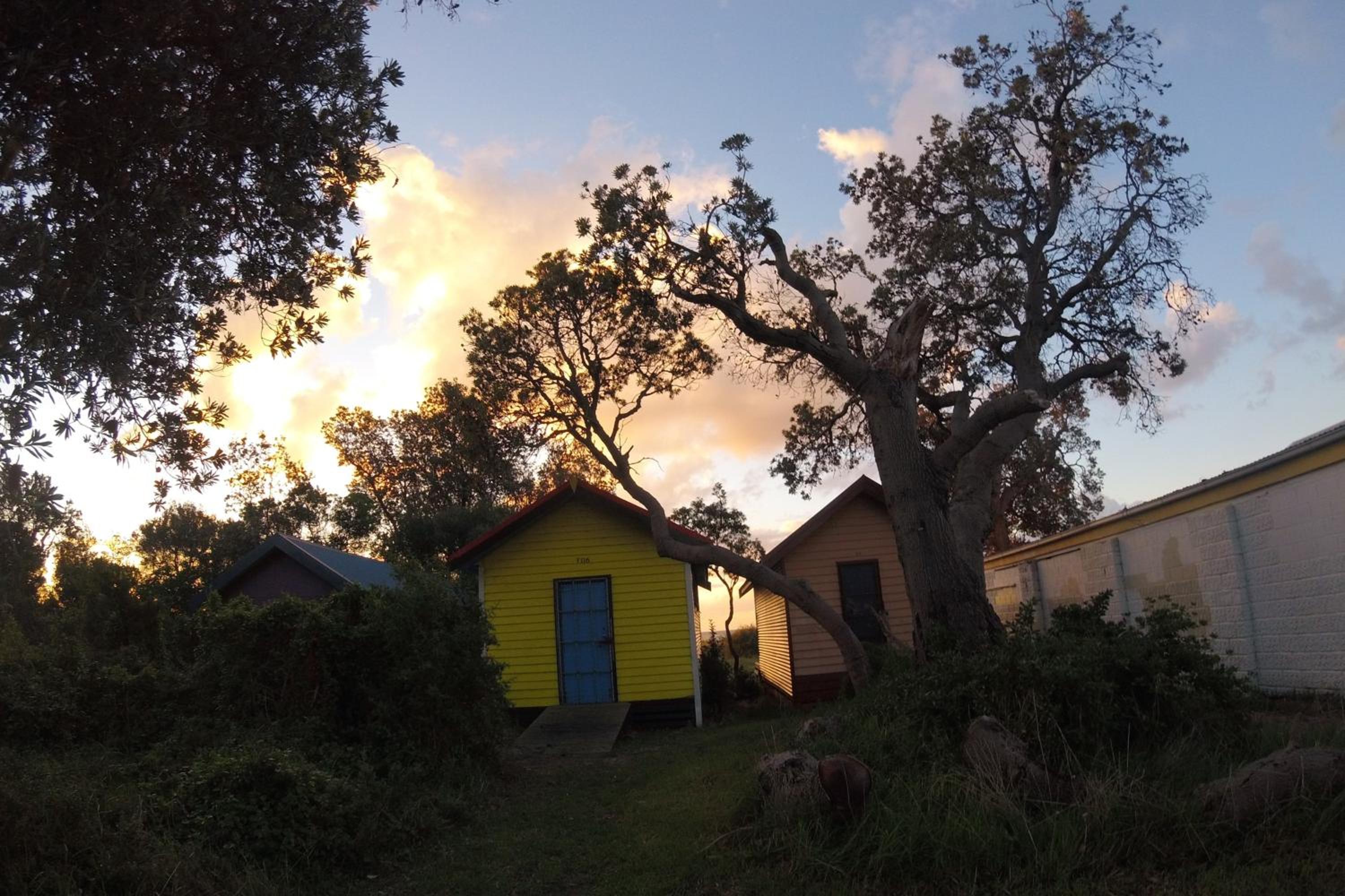 Shellys Place