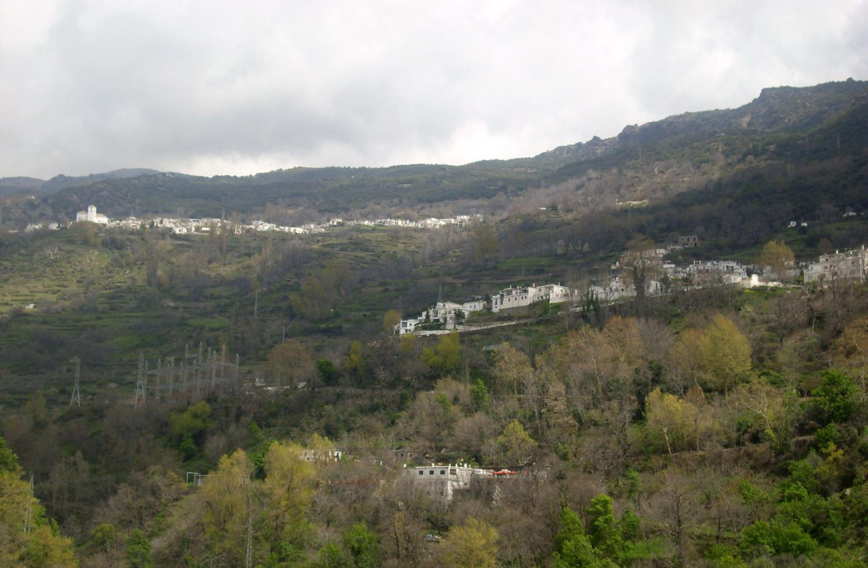 Photo 41