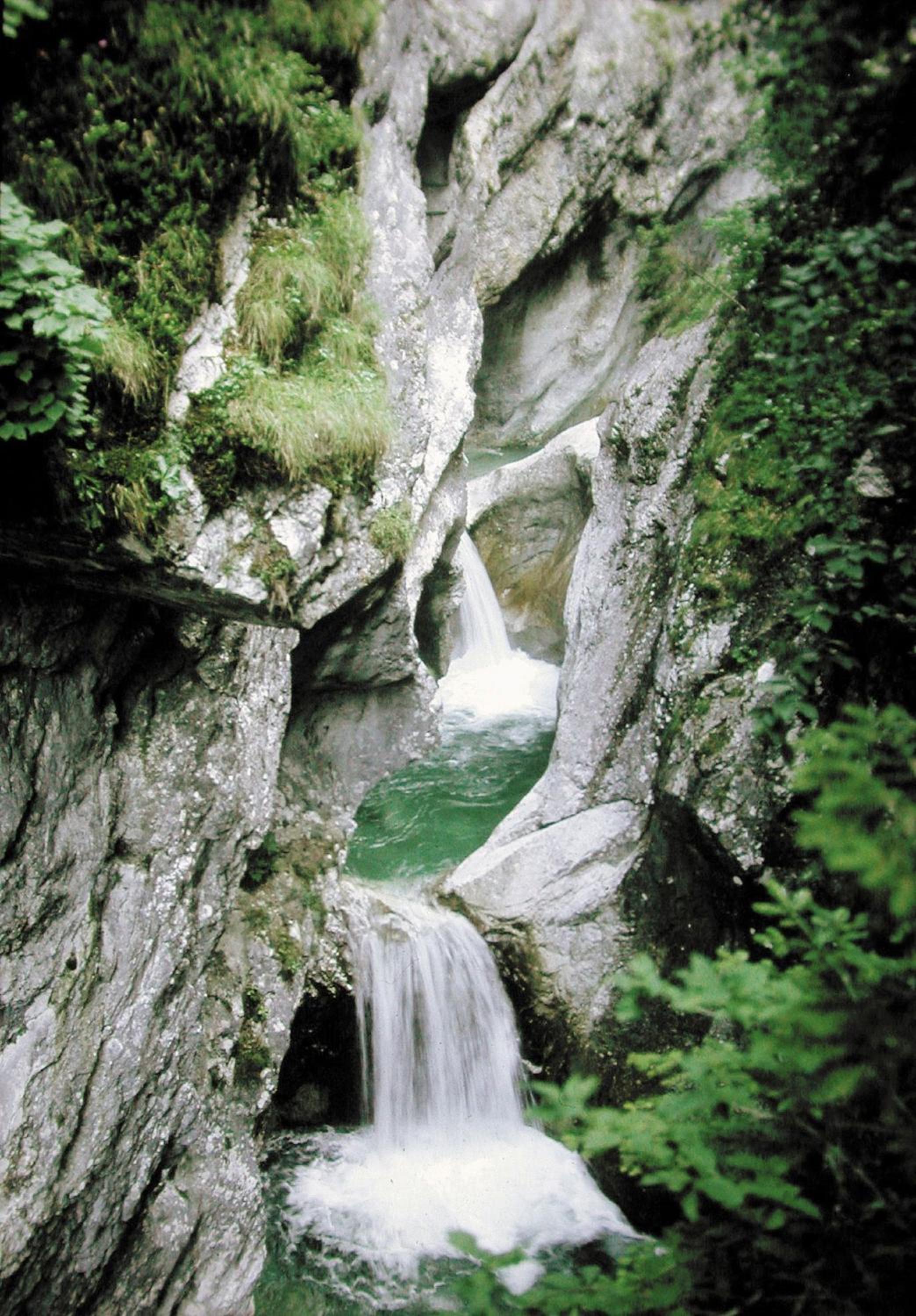 Photo 39