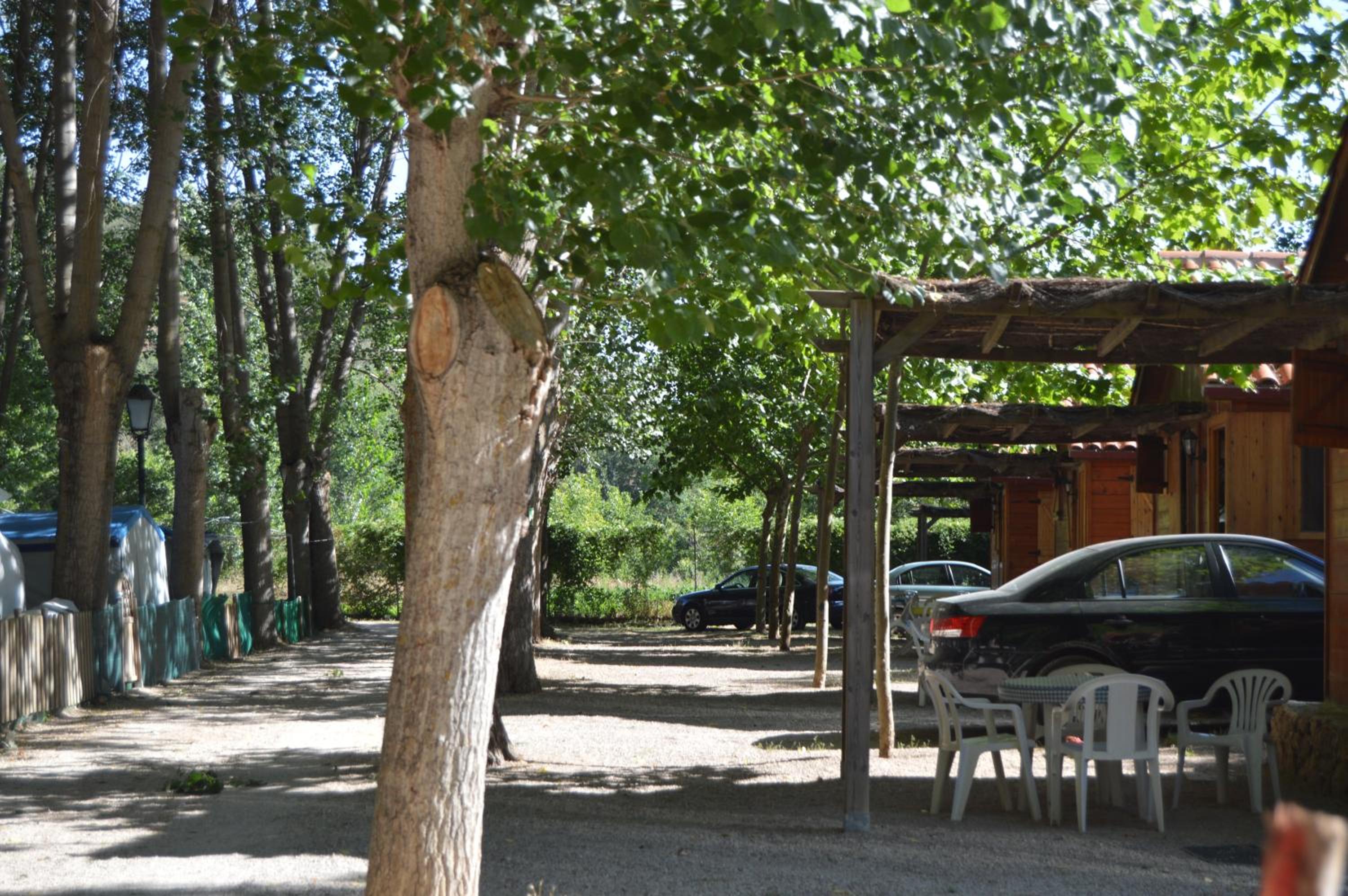 Photo 48