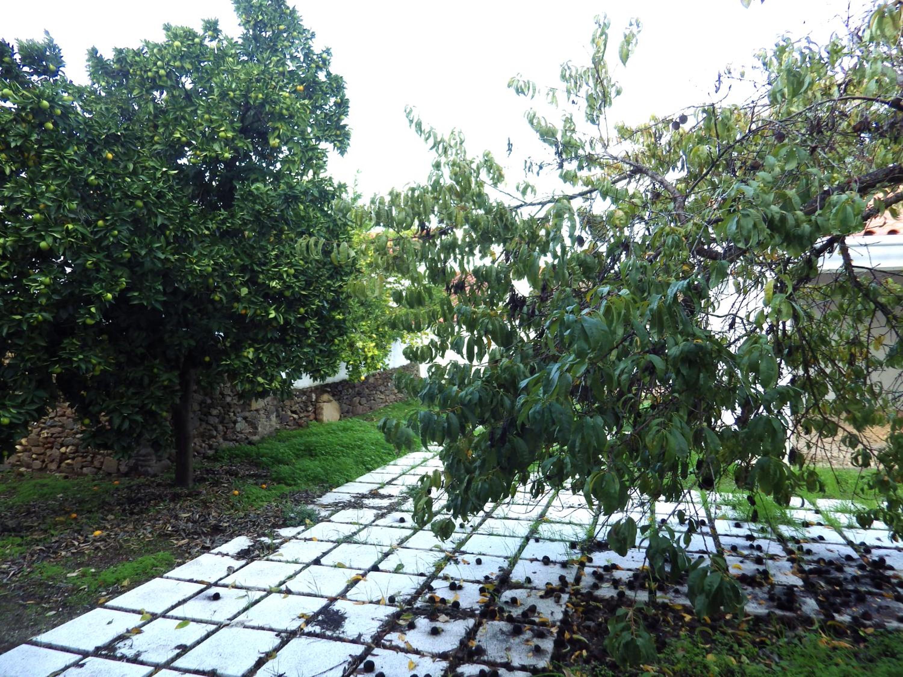 Photo 40