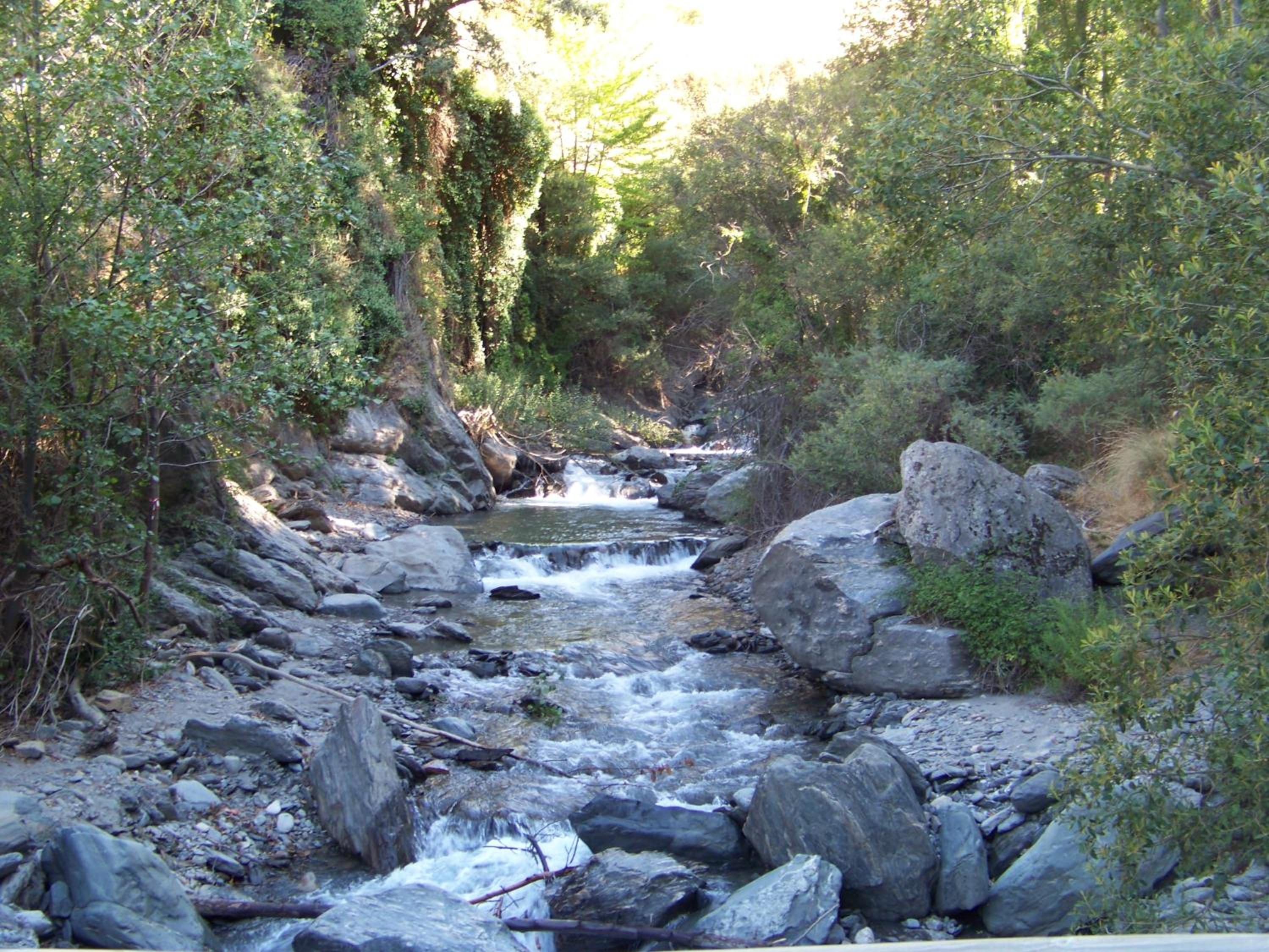 Photo 52