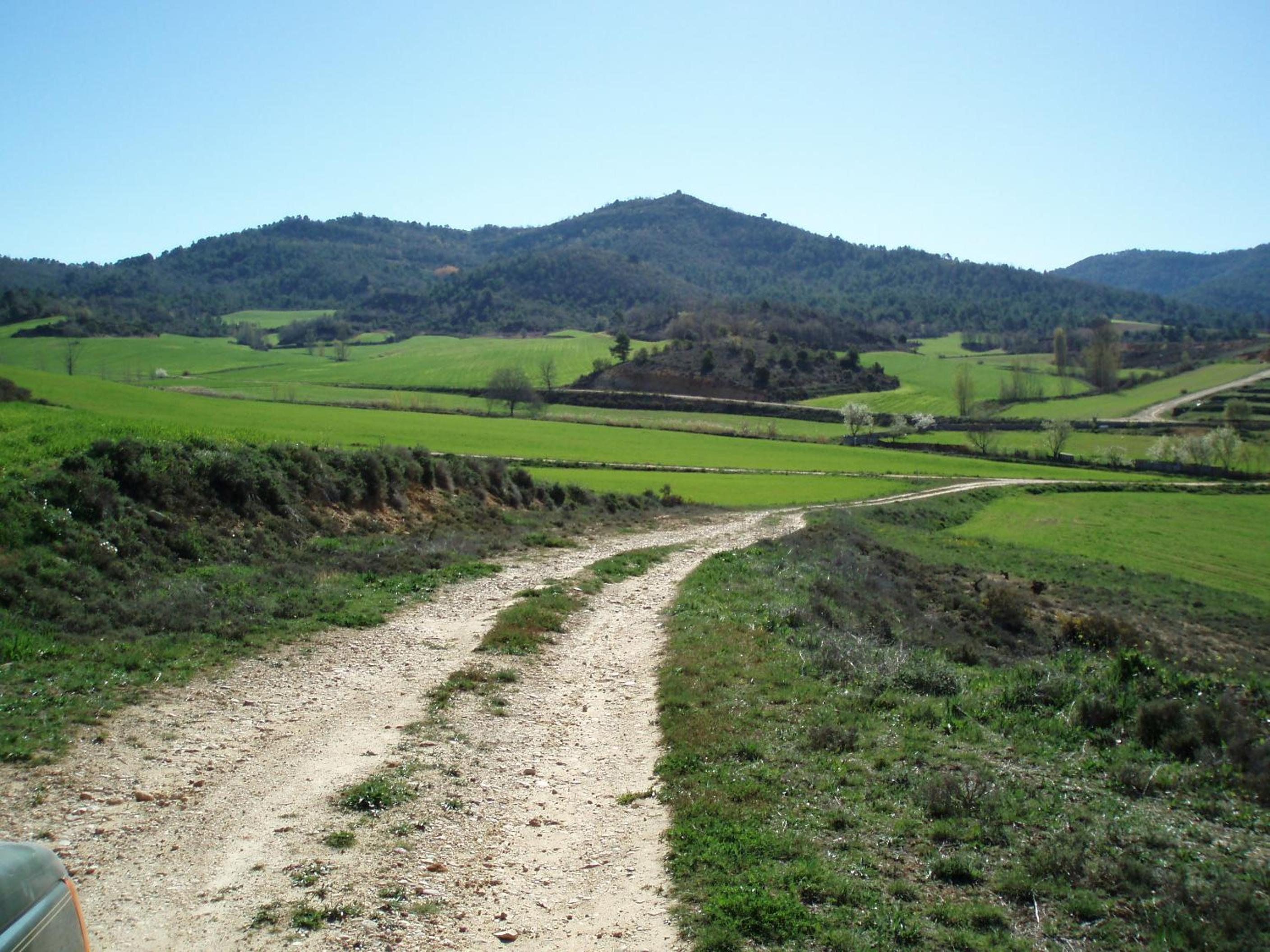 Photo 22