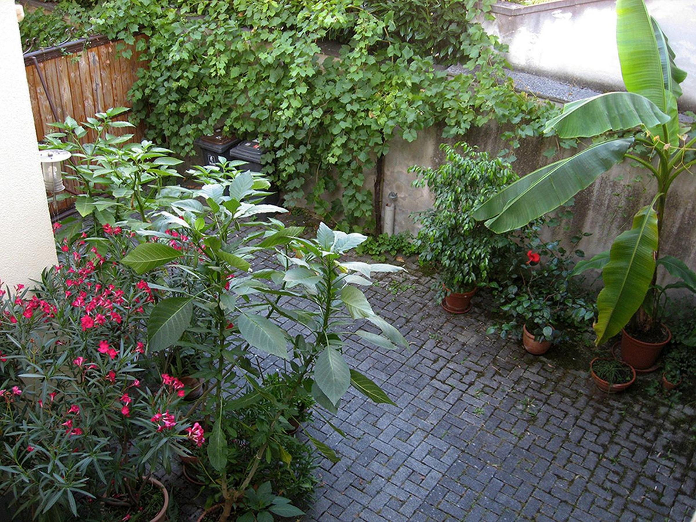 Die Sprachpension - The Language Guesthouse view 4