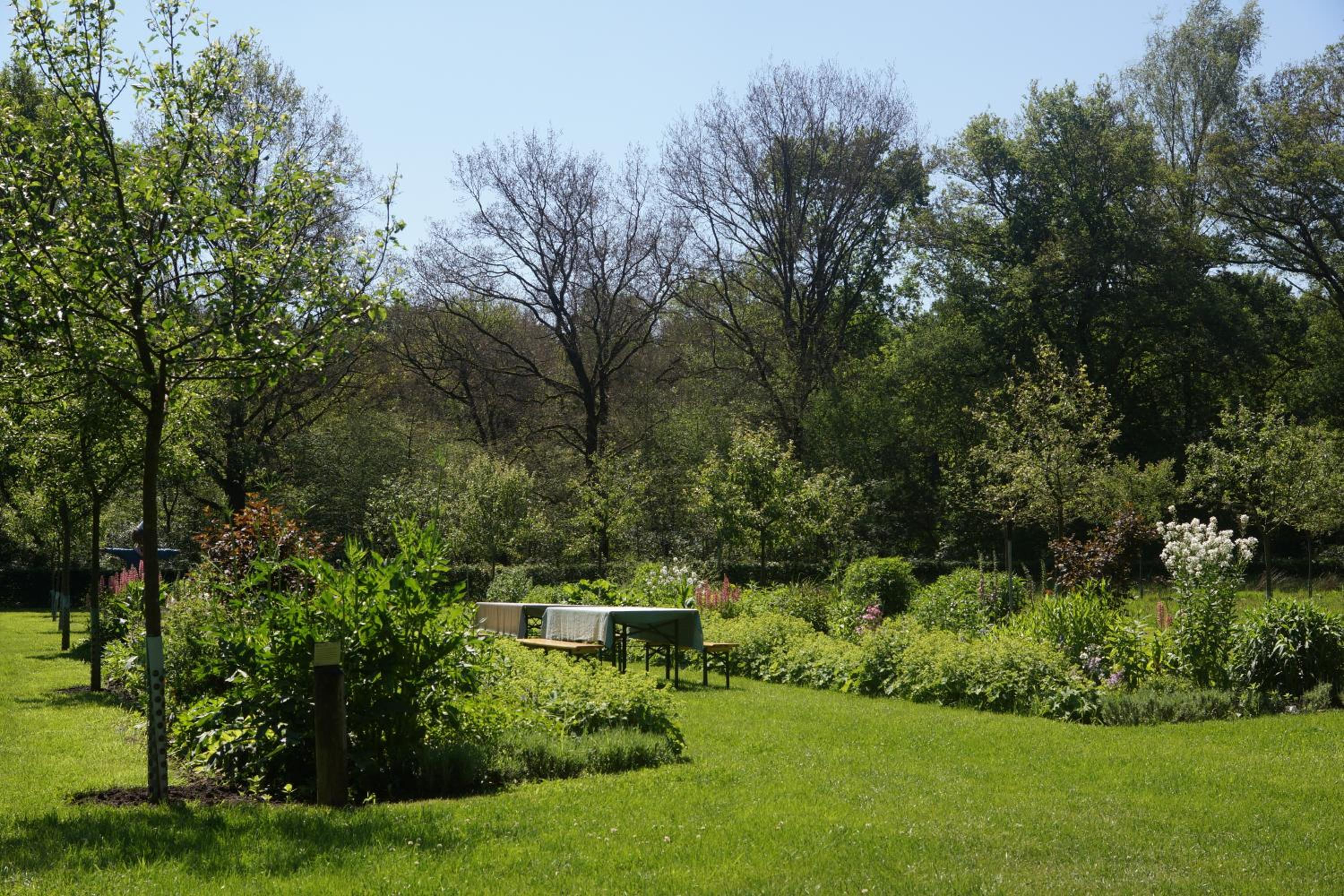 Photo 45