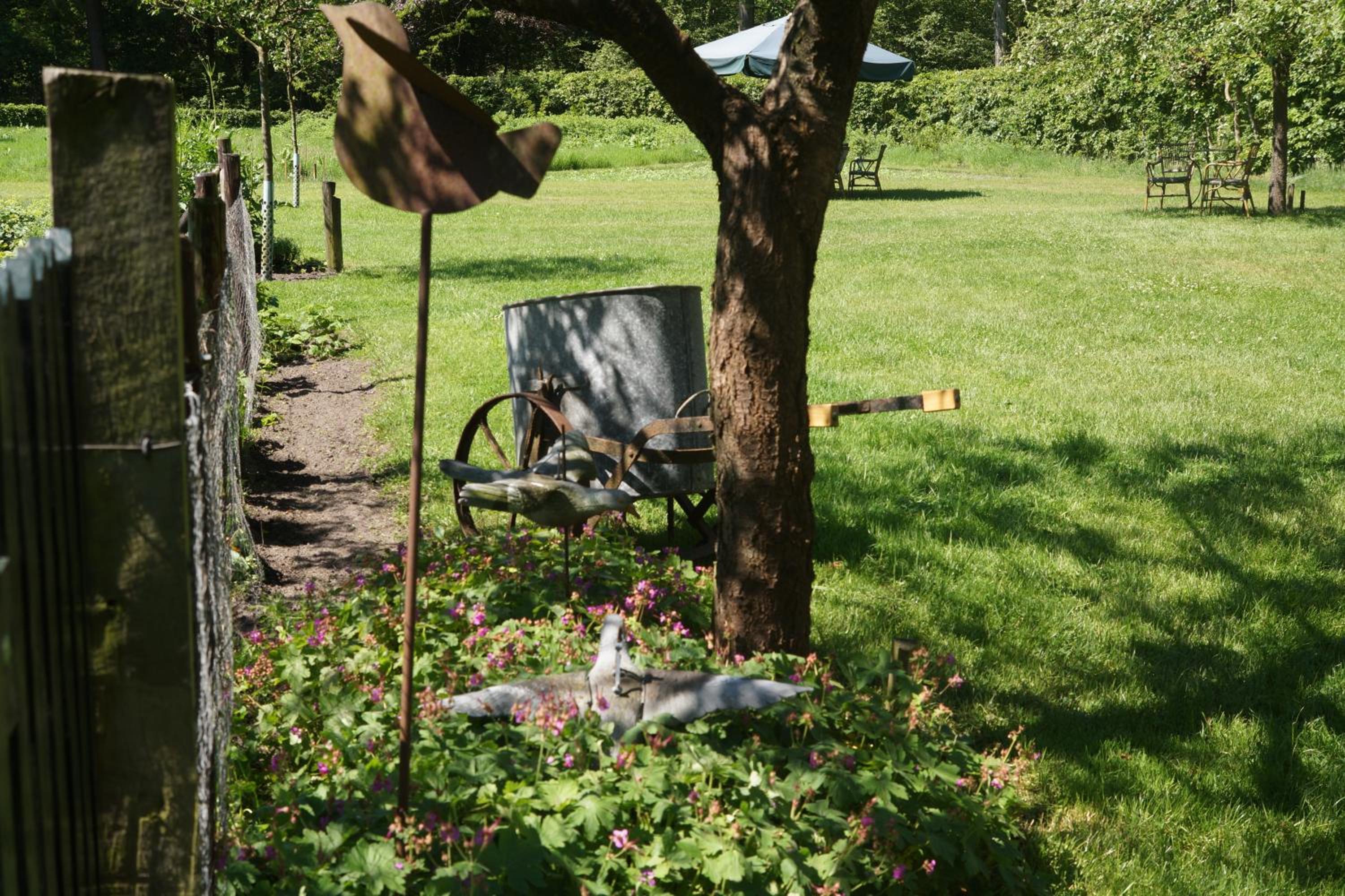 Photo 42