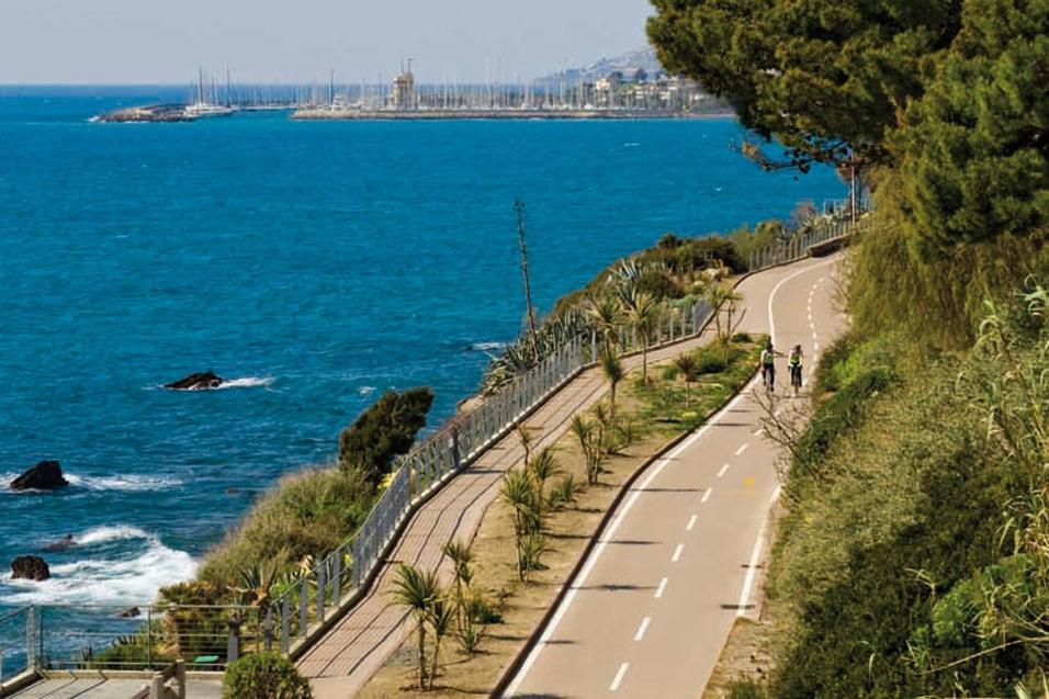 Photo 21