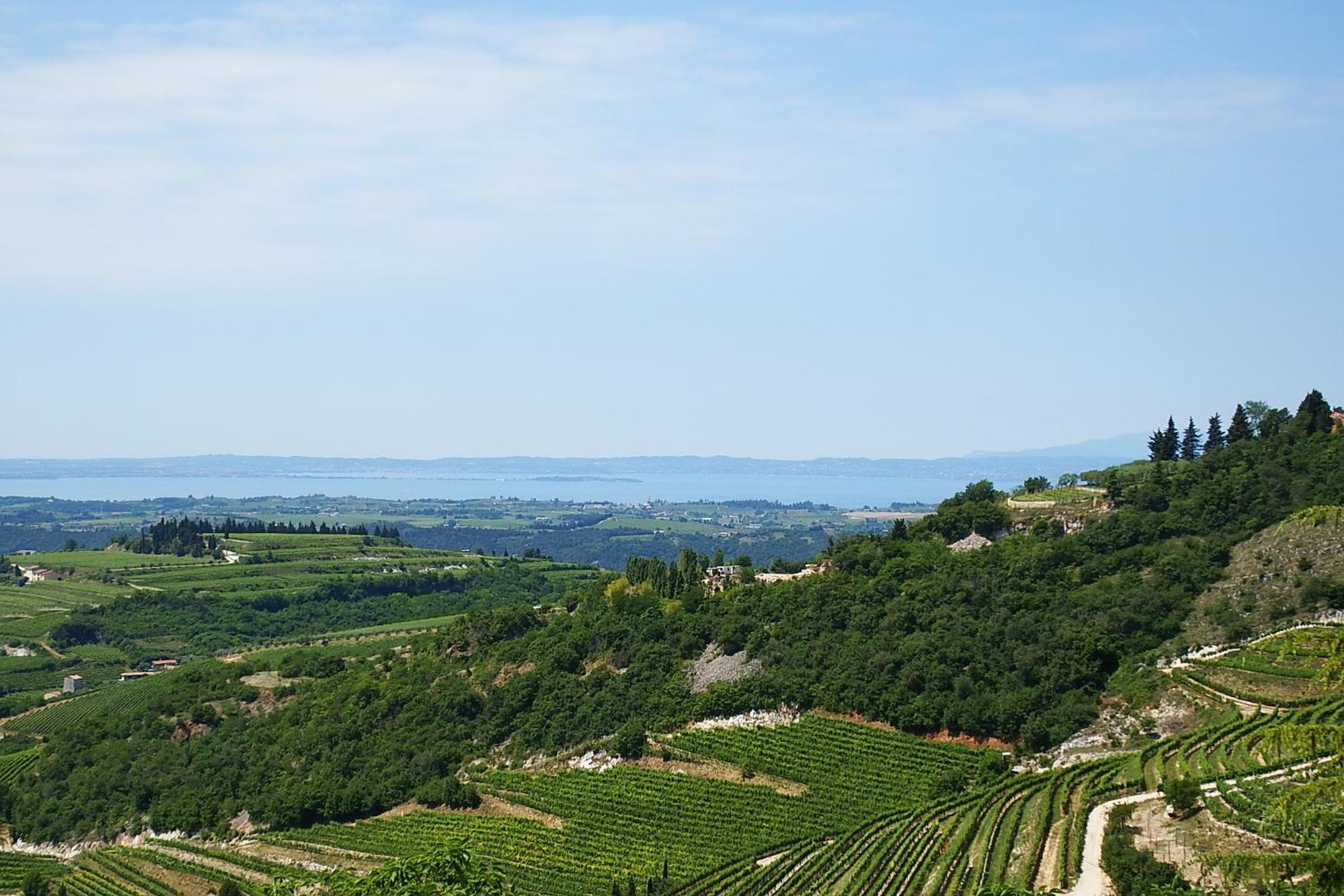 Porta della Torre Bed & Breakfast