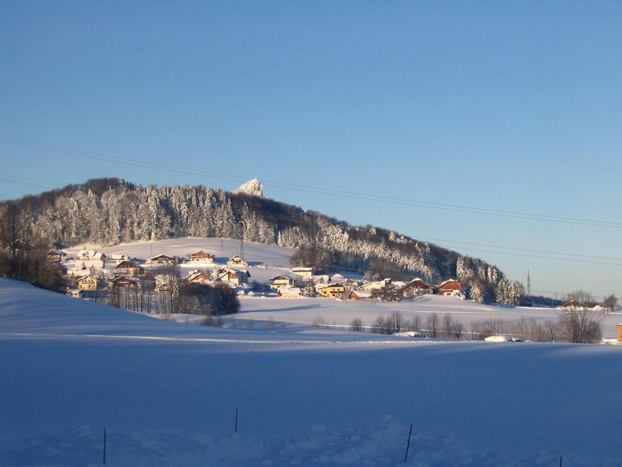 Pension Waldhof