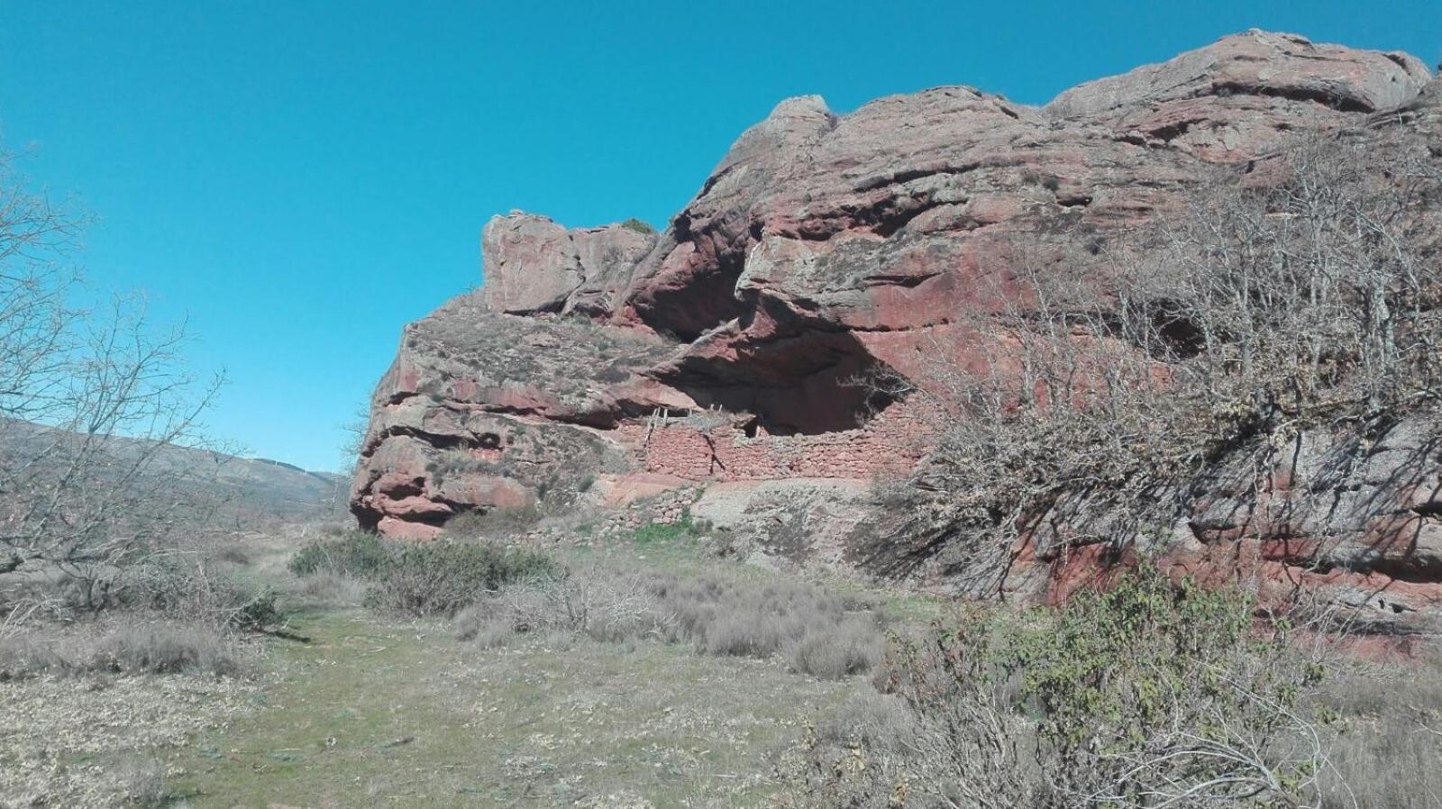 Photo 19